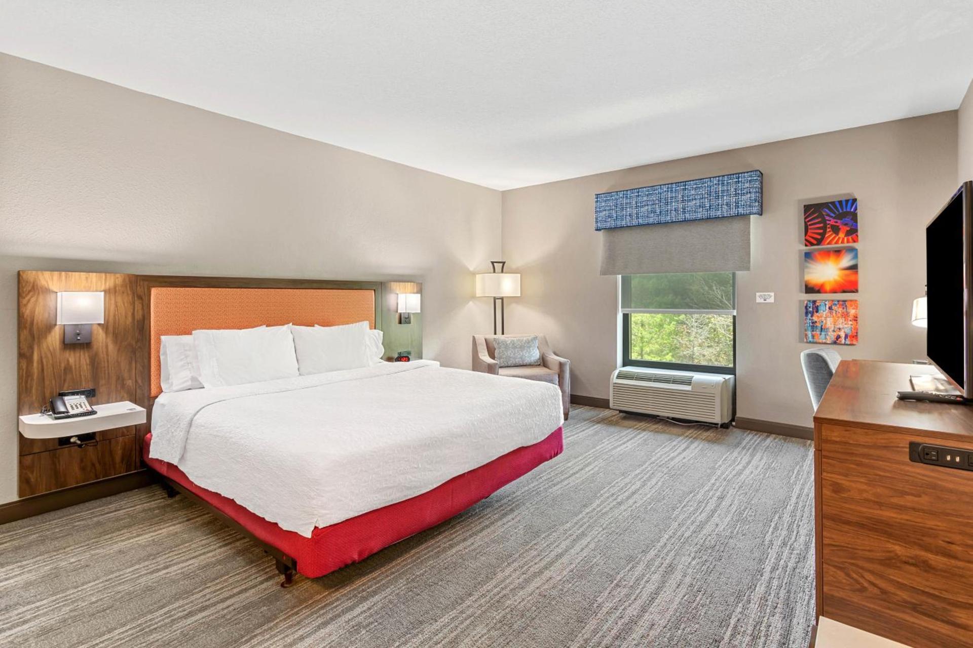 Hampton Inn & Suites Orlando-Apopka photo 78