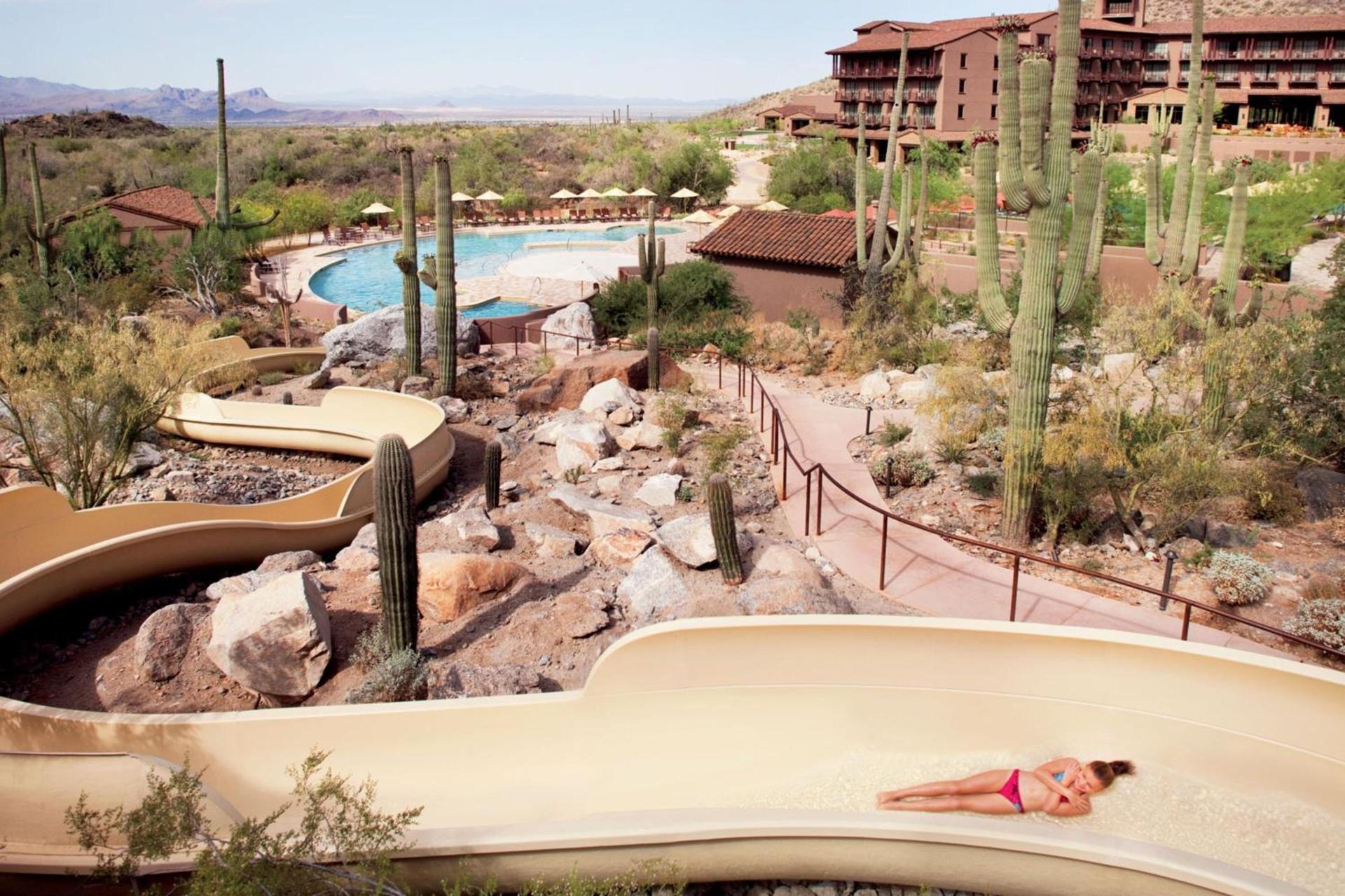 The Ritz-Carlton, Dove Mountain photo 19