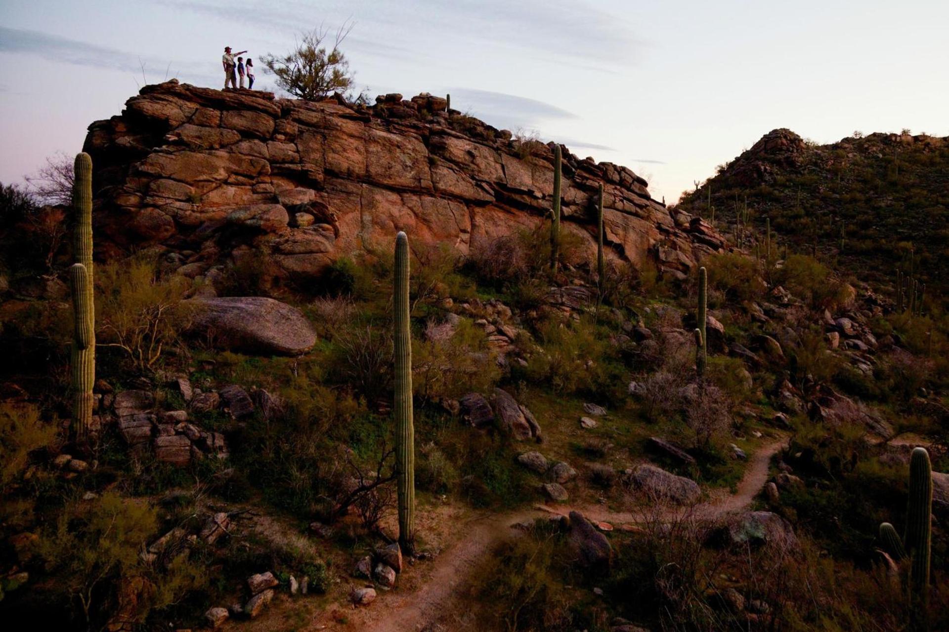 The Ritz-Carlton, Dove Mountain photo 22