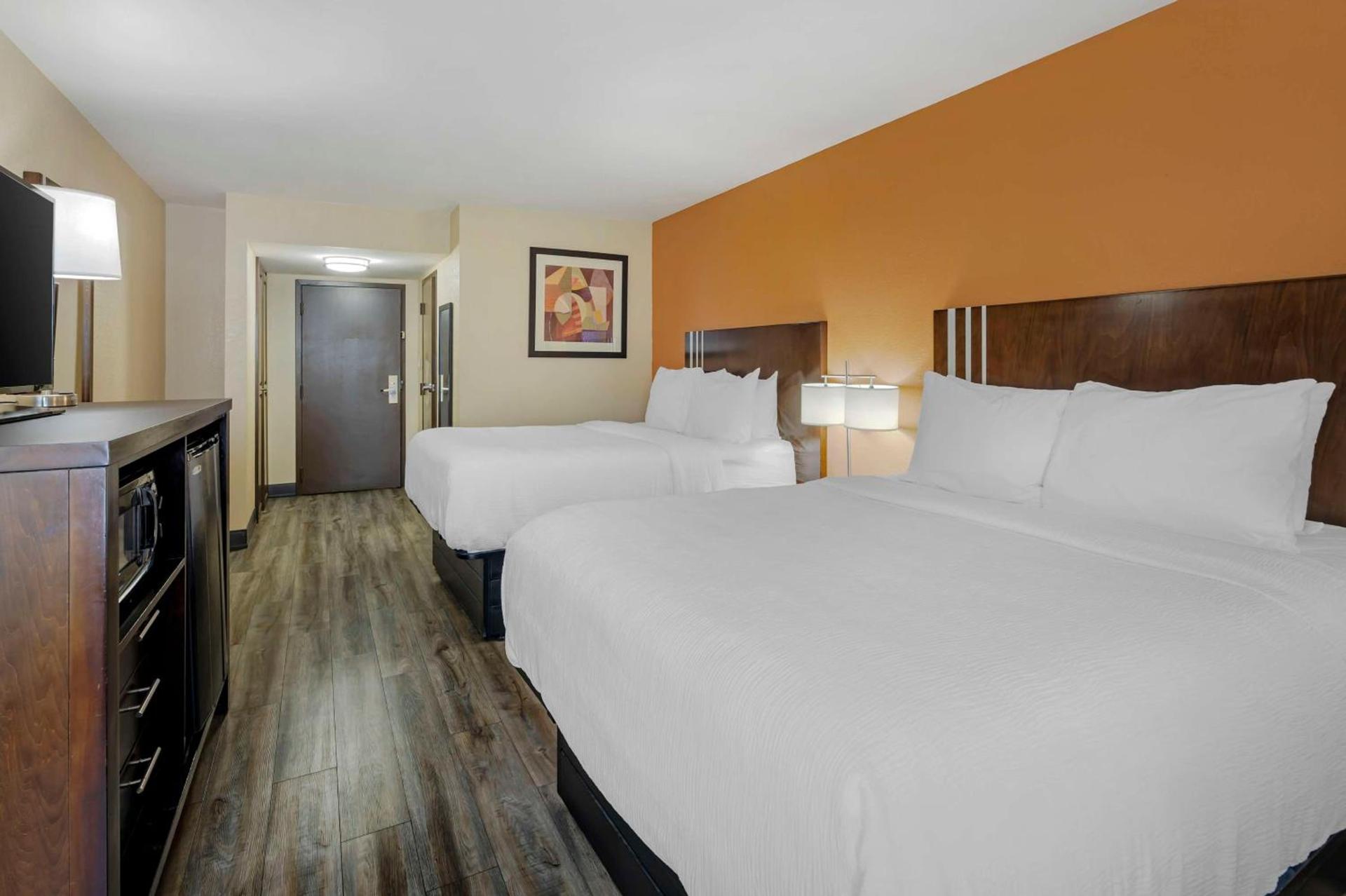 Spark by Hilton Kimball photo 7
