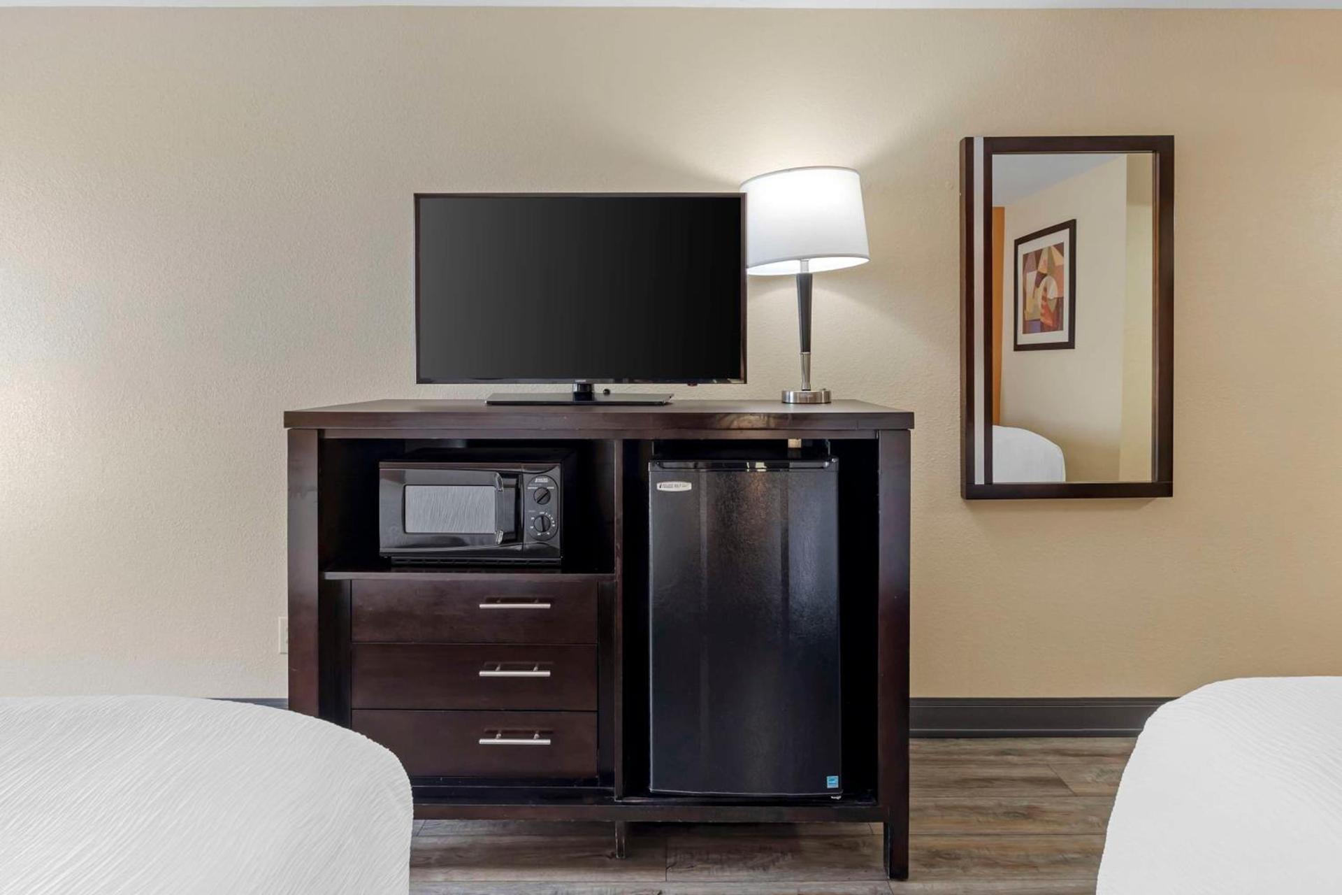 Spark by Hilton Kimball photo 8
