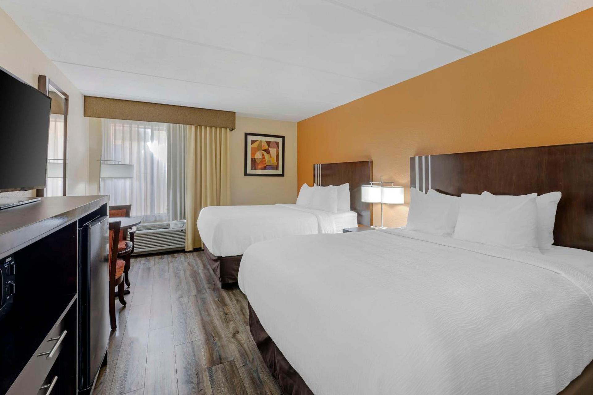 Spark by Hilton Kimball photo 16