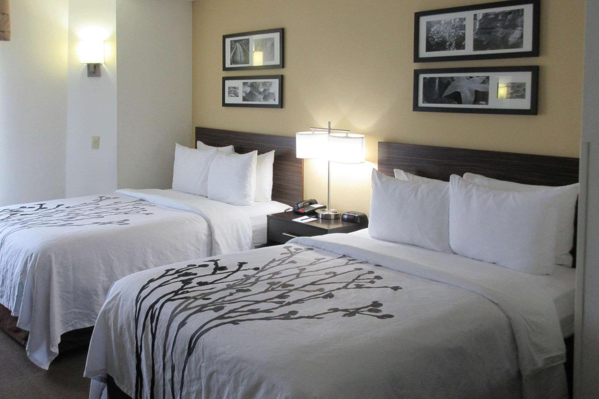 Sleep Inn photo 4