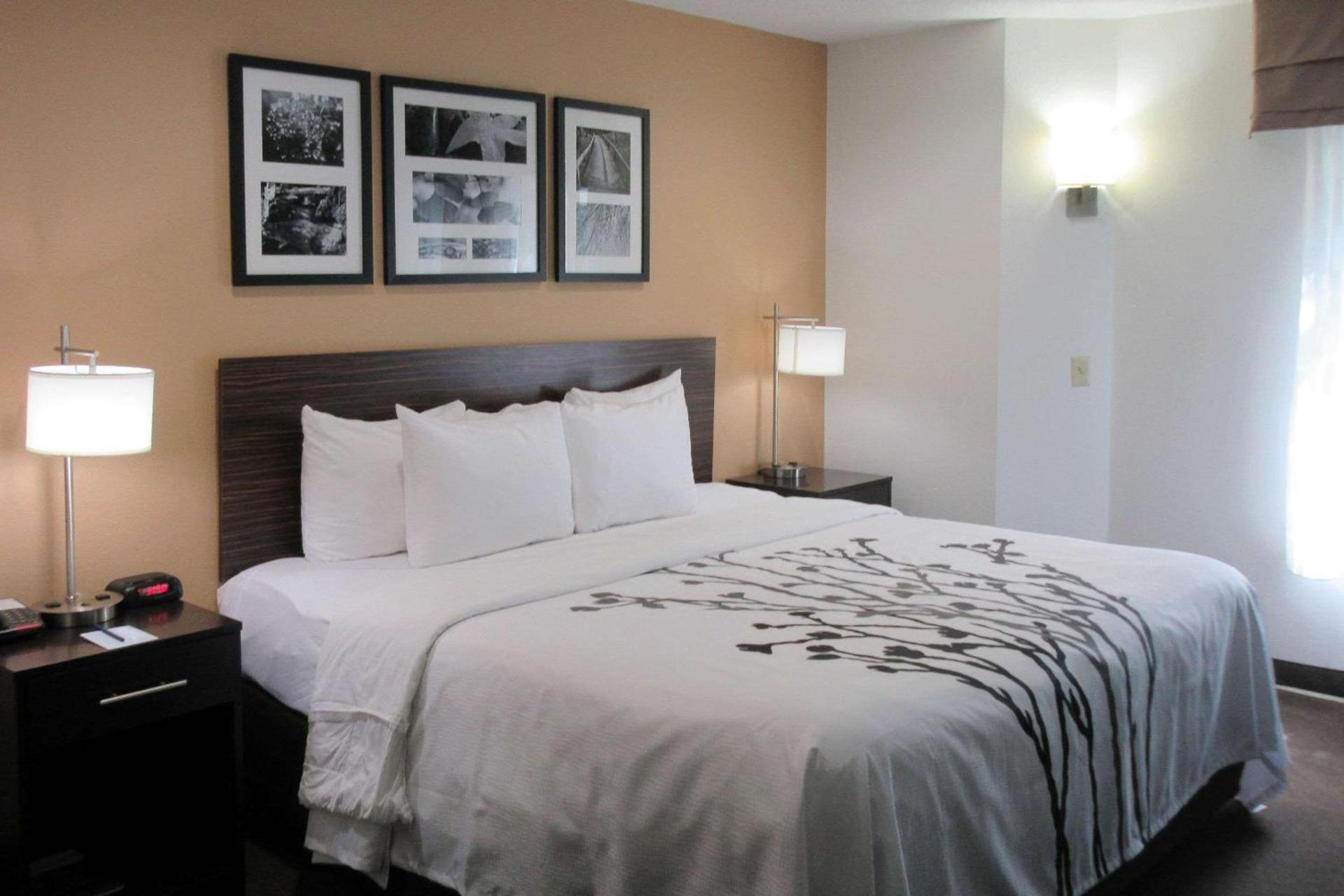 Sleep Inn photo 3