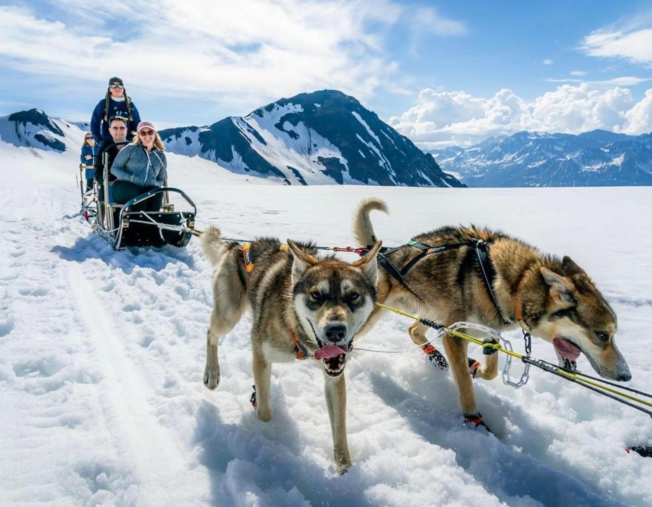 Alaska Glacier Lodge photo 46