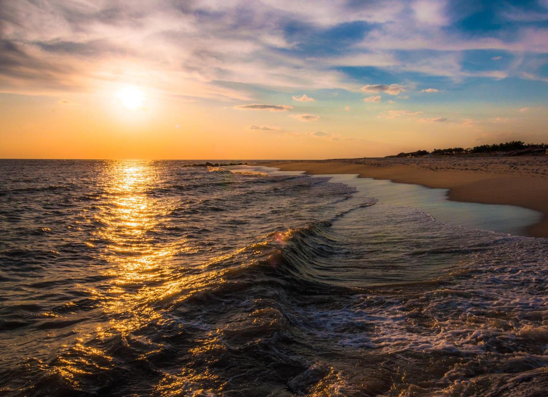 Mahalo Cape May photo 23