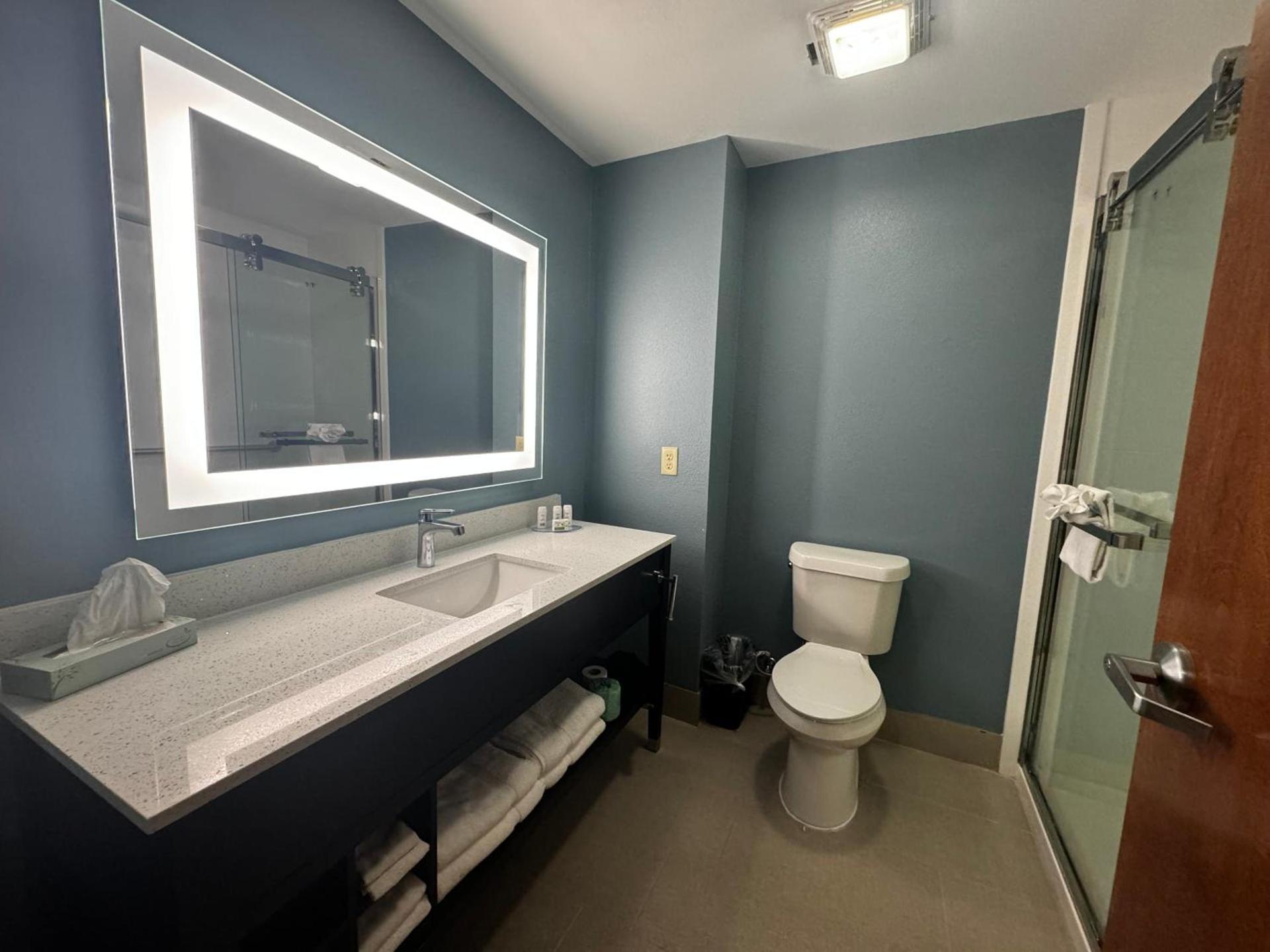 Wingate by Wyndham College Station South photo 15