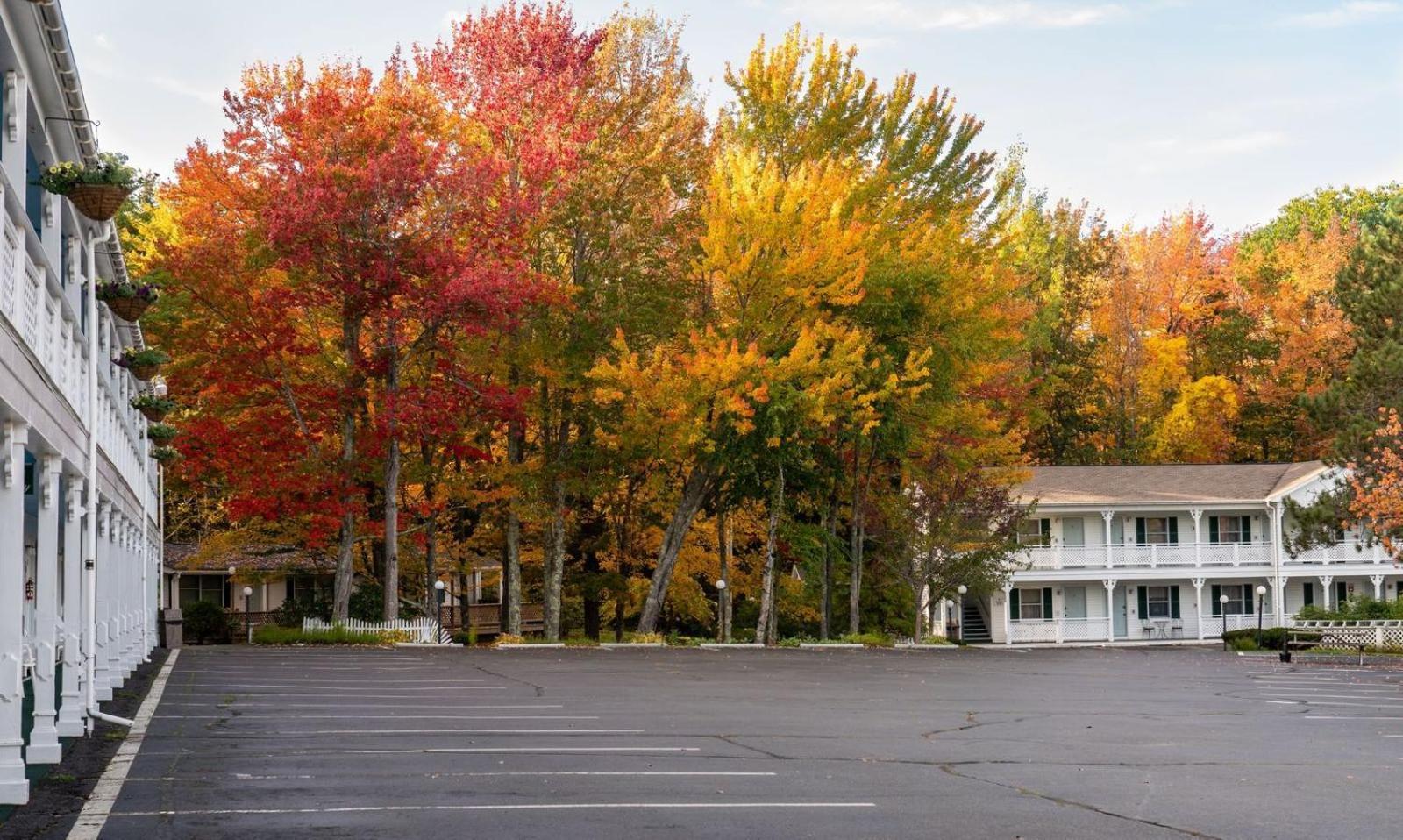 Cedar Crest Inn photo 15