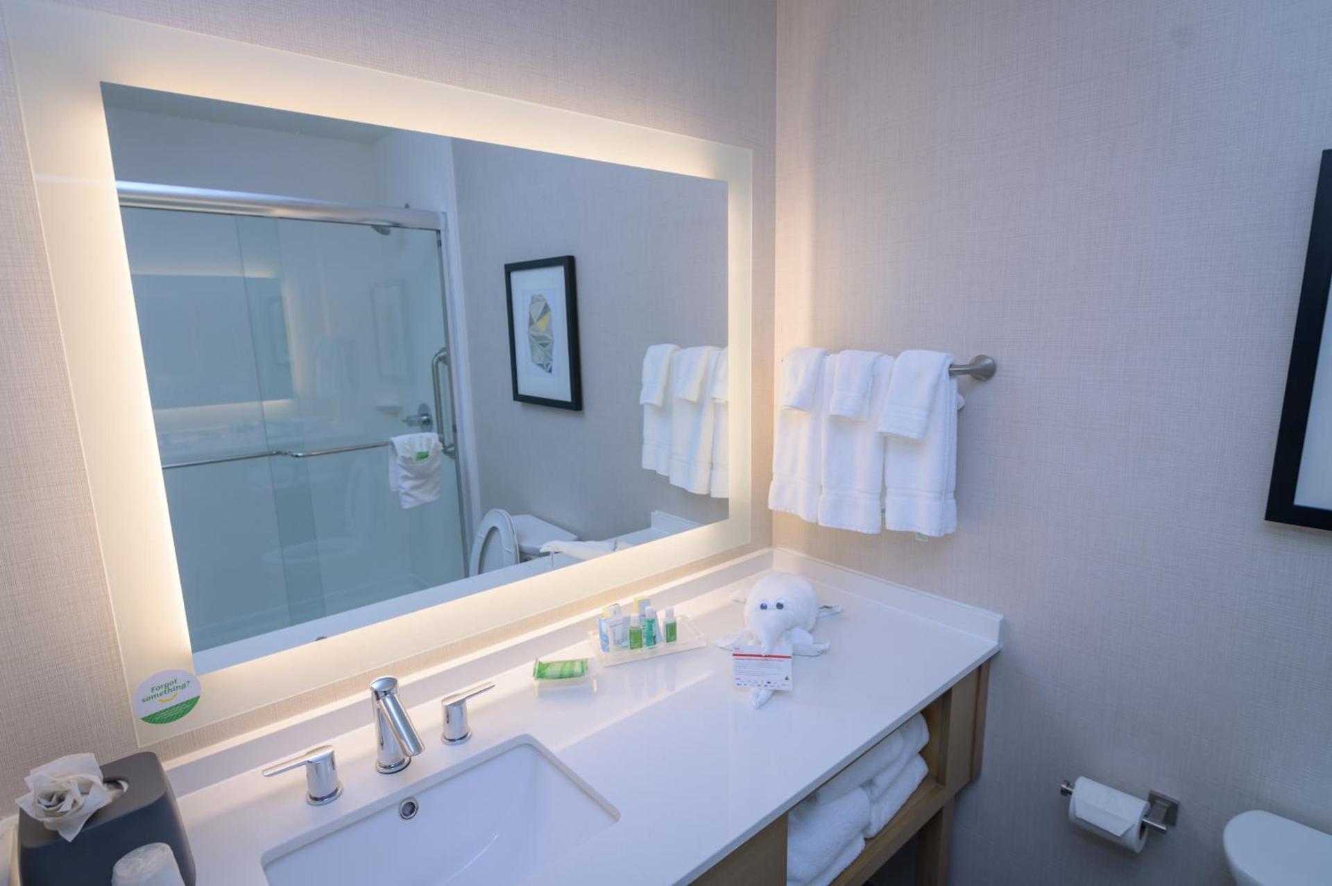 Holiday Inn & Suites Houston NW - Vintage Park Area by IHG photo 25
