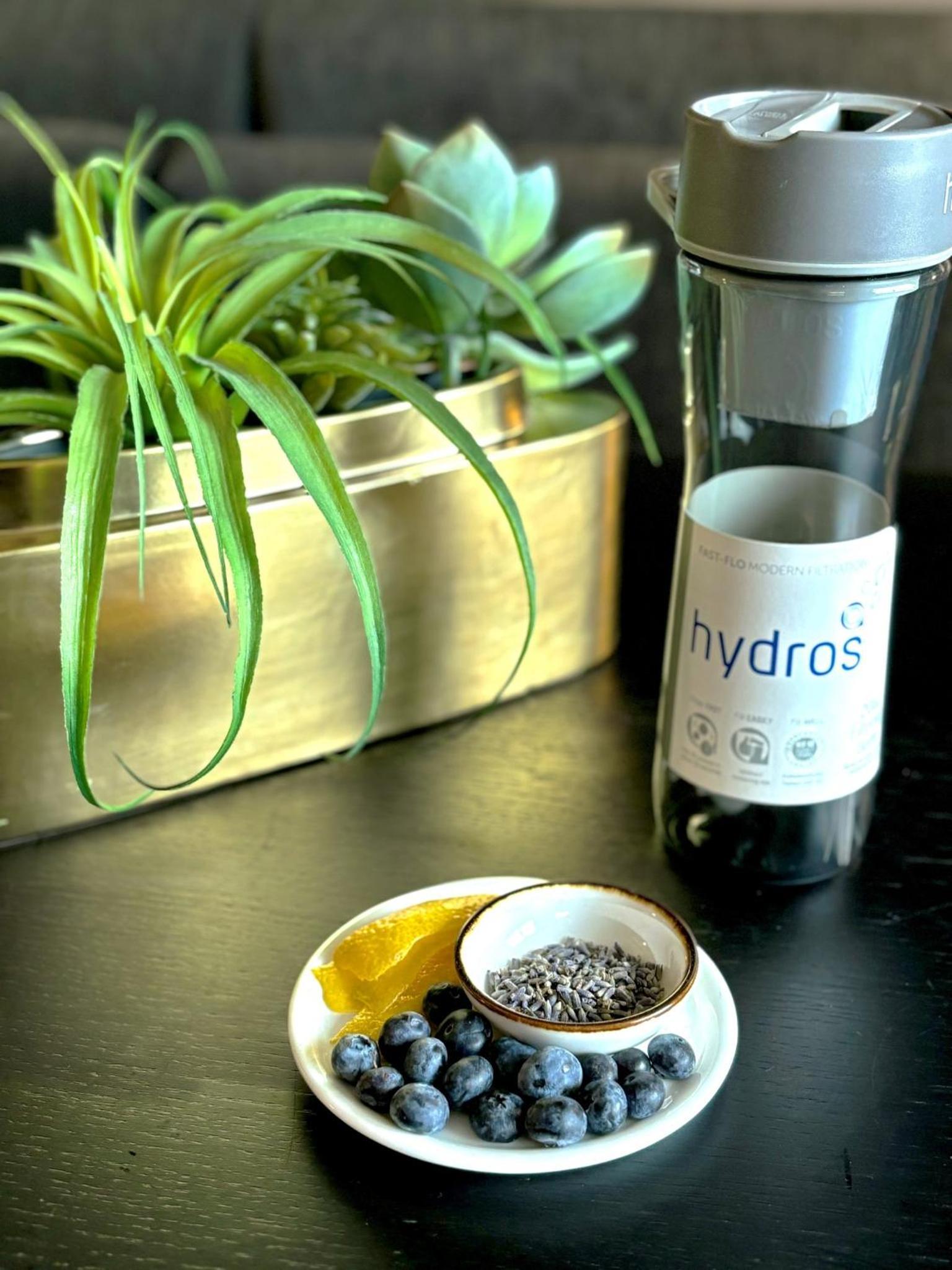Loews Chicago O'Hare Hotel photo 84