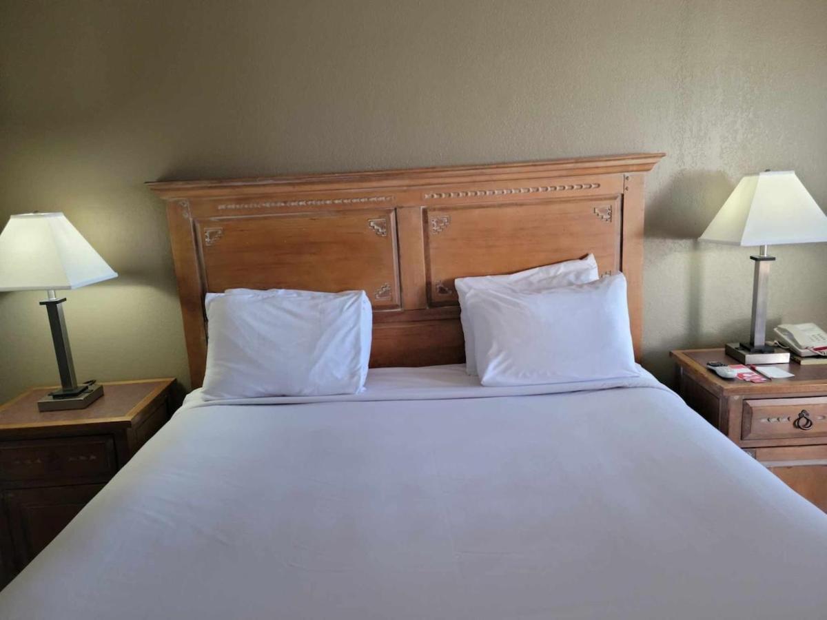 Econo Lodge Springerville photo 3