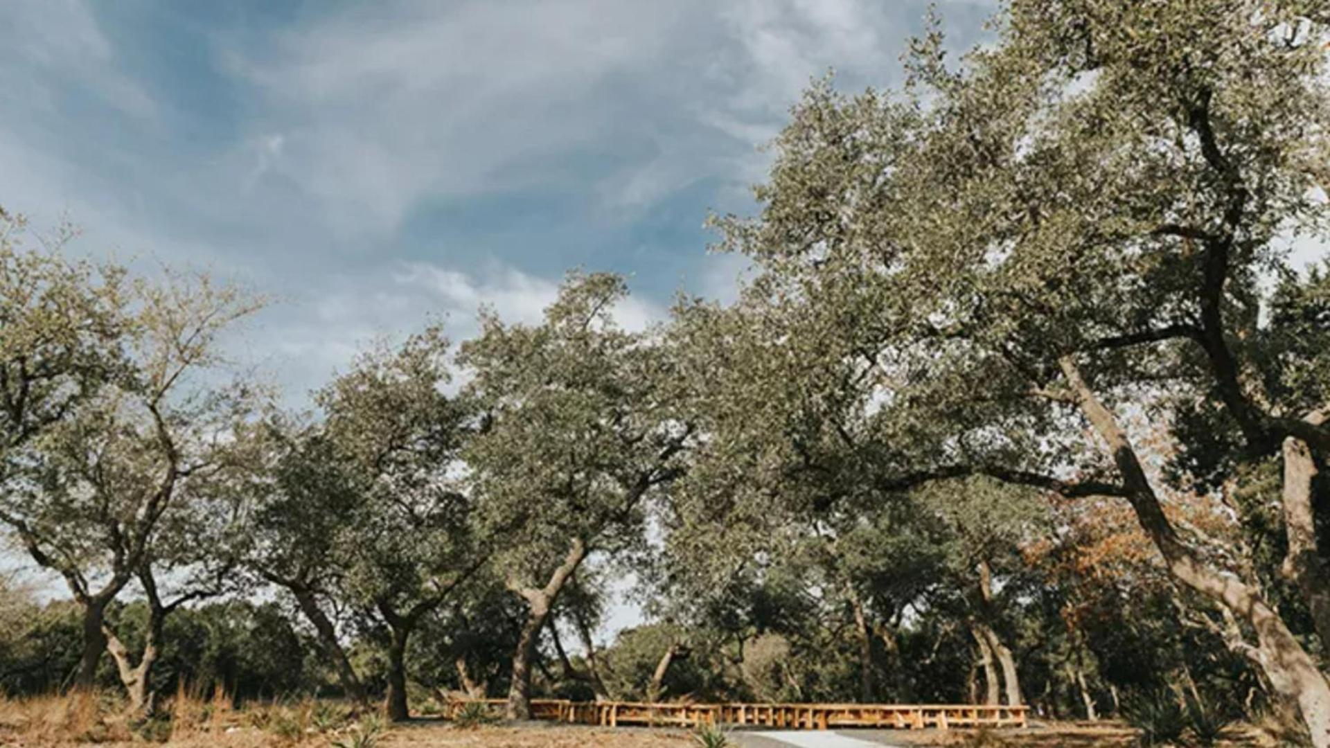 The Cedars Ranch photo 25