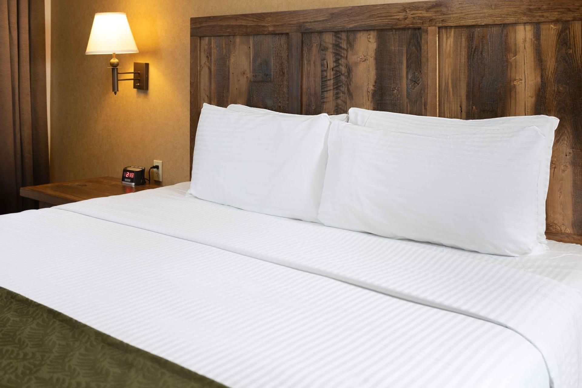 Colusa Casino Resort photo 8