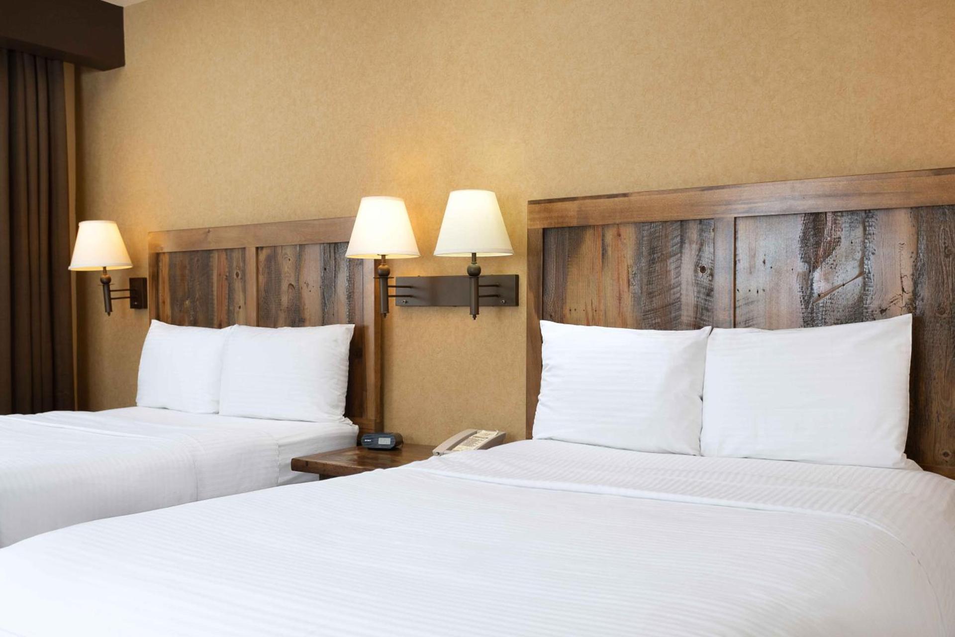 Colusa Casino Resort photo 19