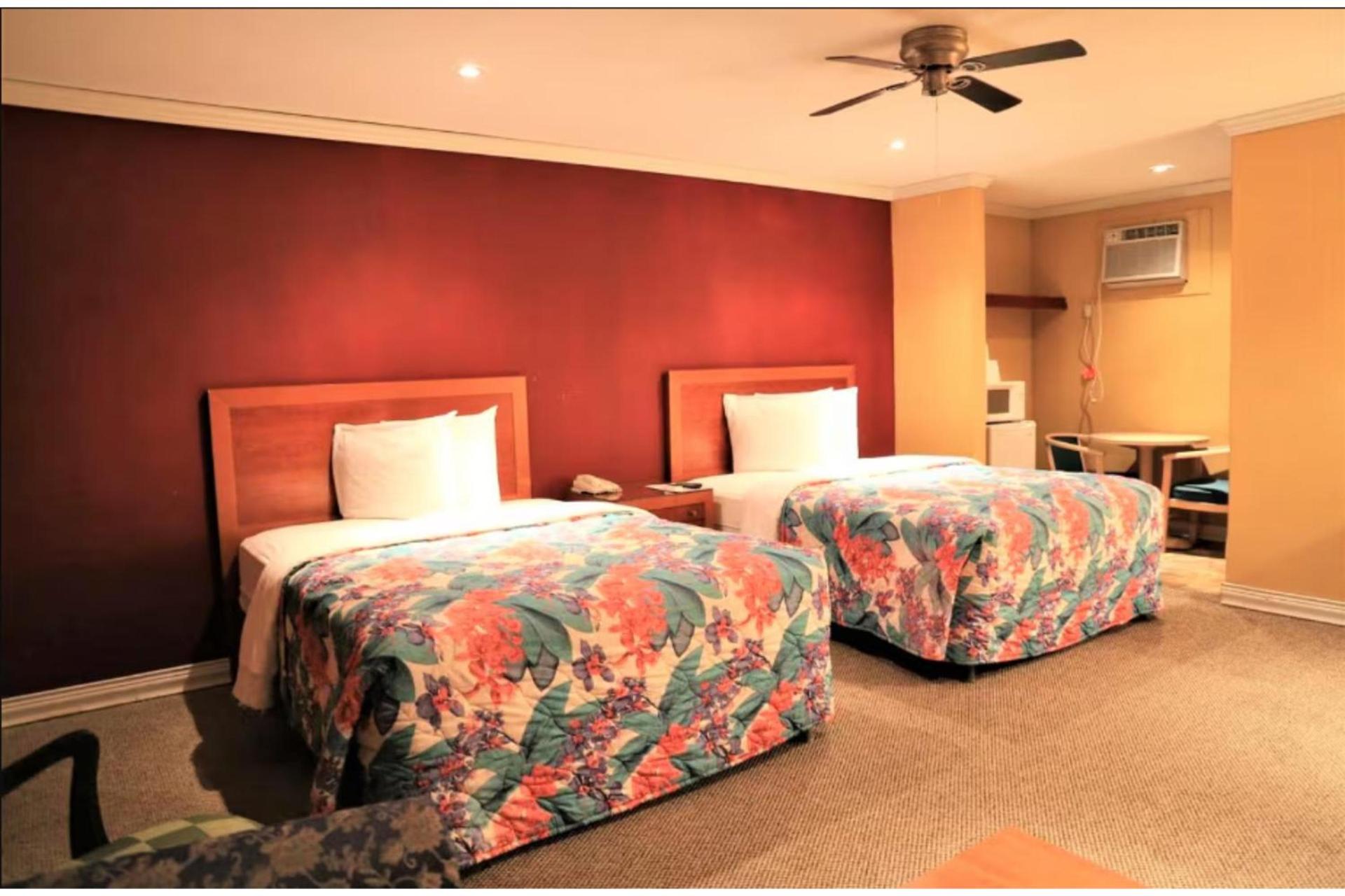 OYO Hotel Beeville -US 181 photo 44