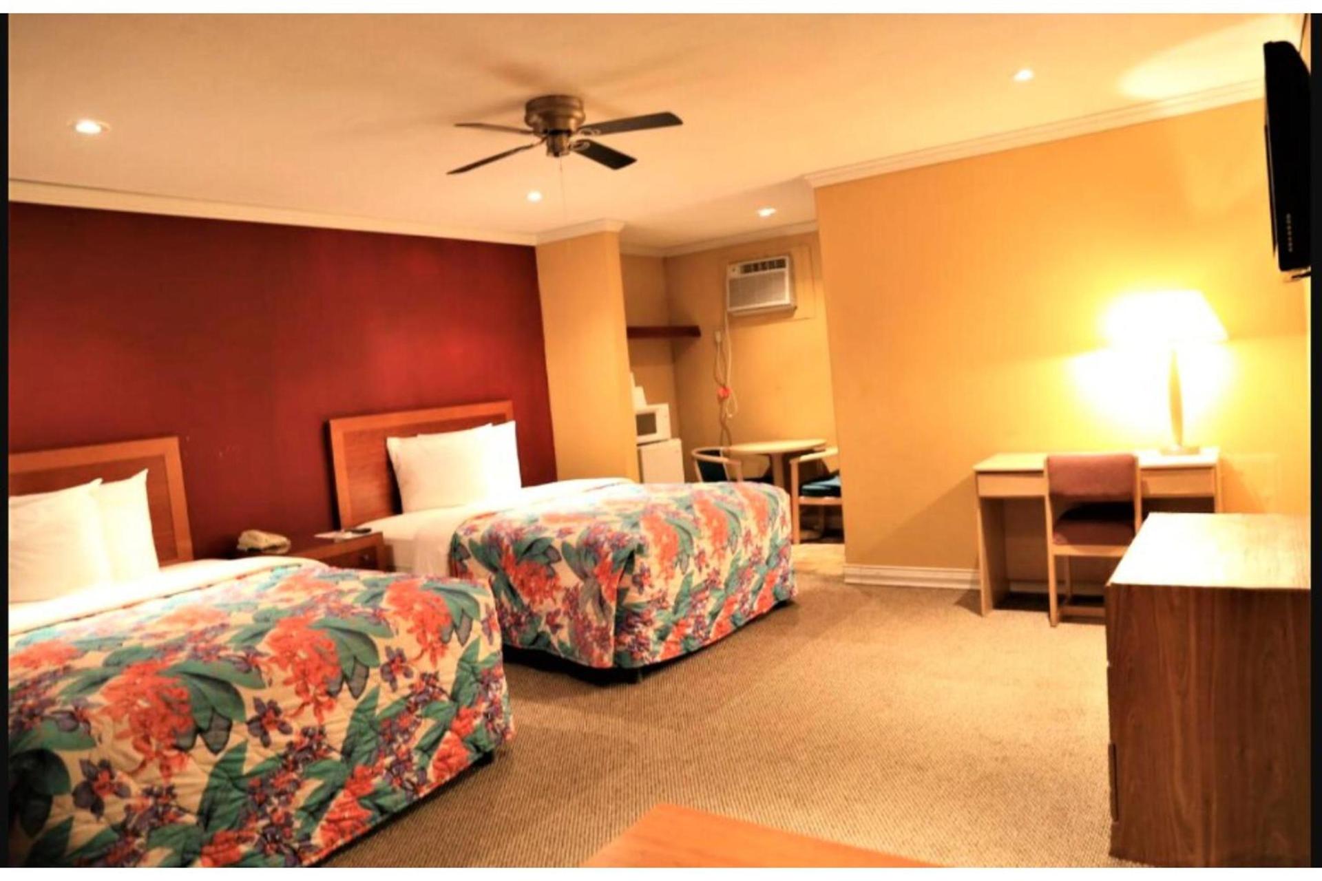 OYO Hotel Beeville -US 181 photo 45