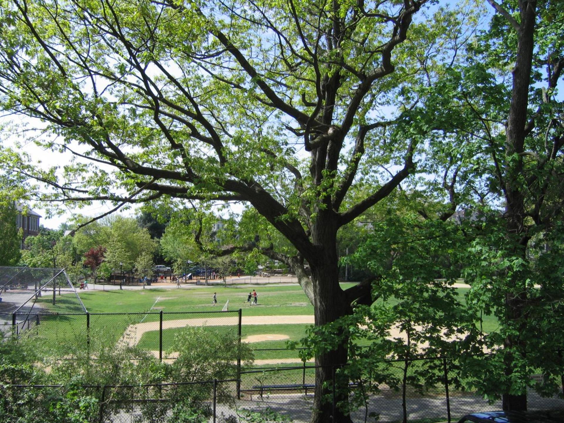 Longwood Inn photo 7
