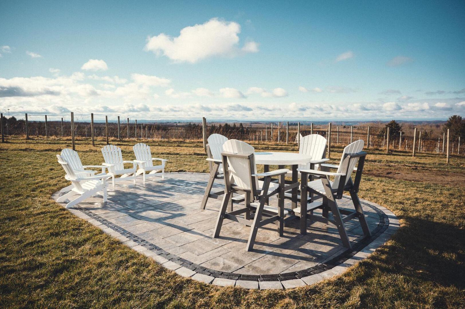 Yuba Vineyard photo 19