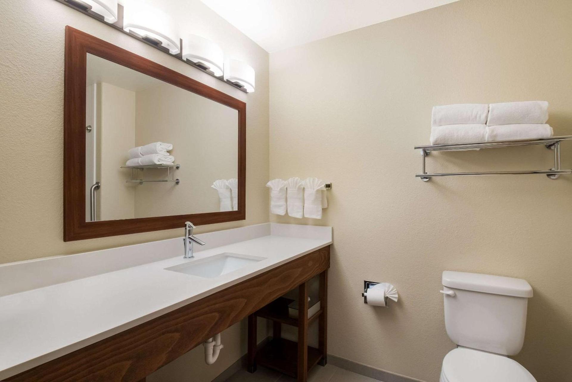 Comfort Inn Fort Morgan photo 15