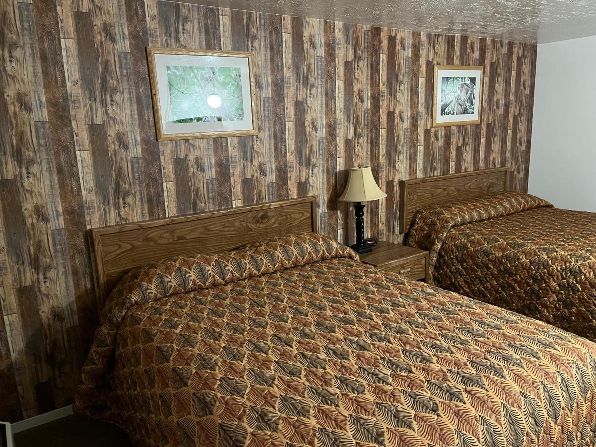 Villa Inn photo 24