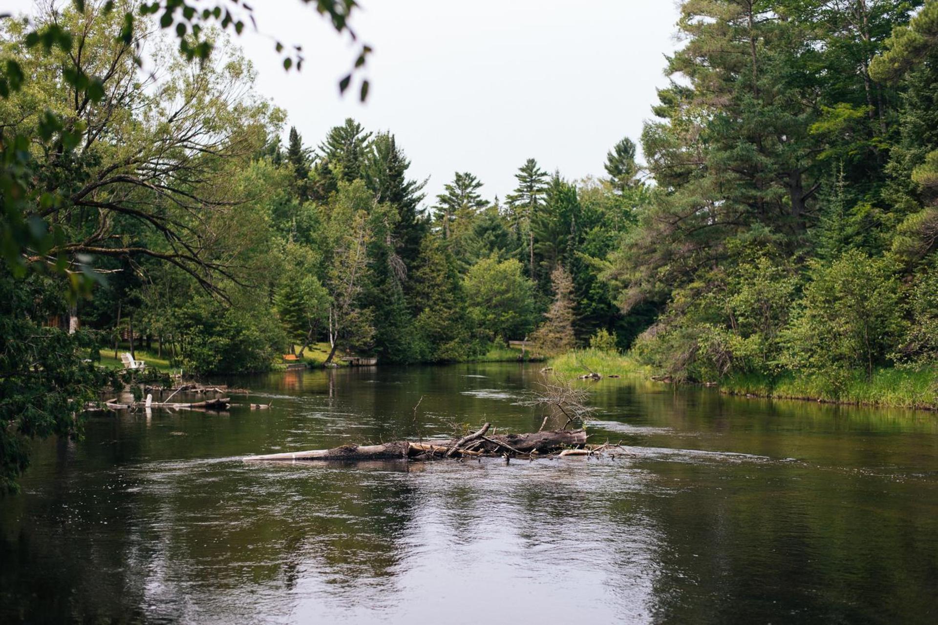 Royal Stag Ausable photo 69