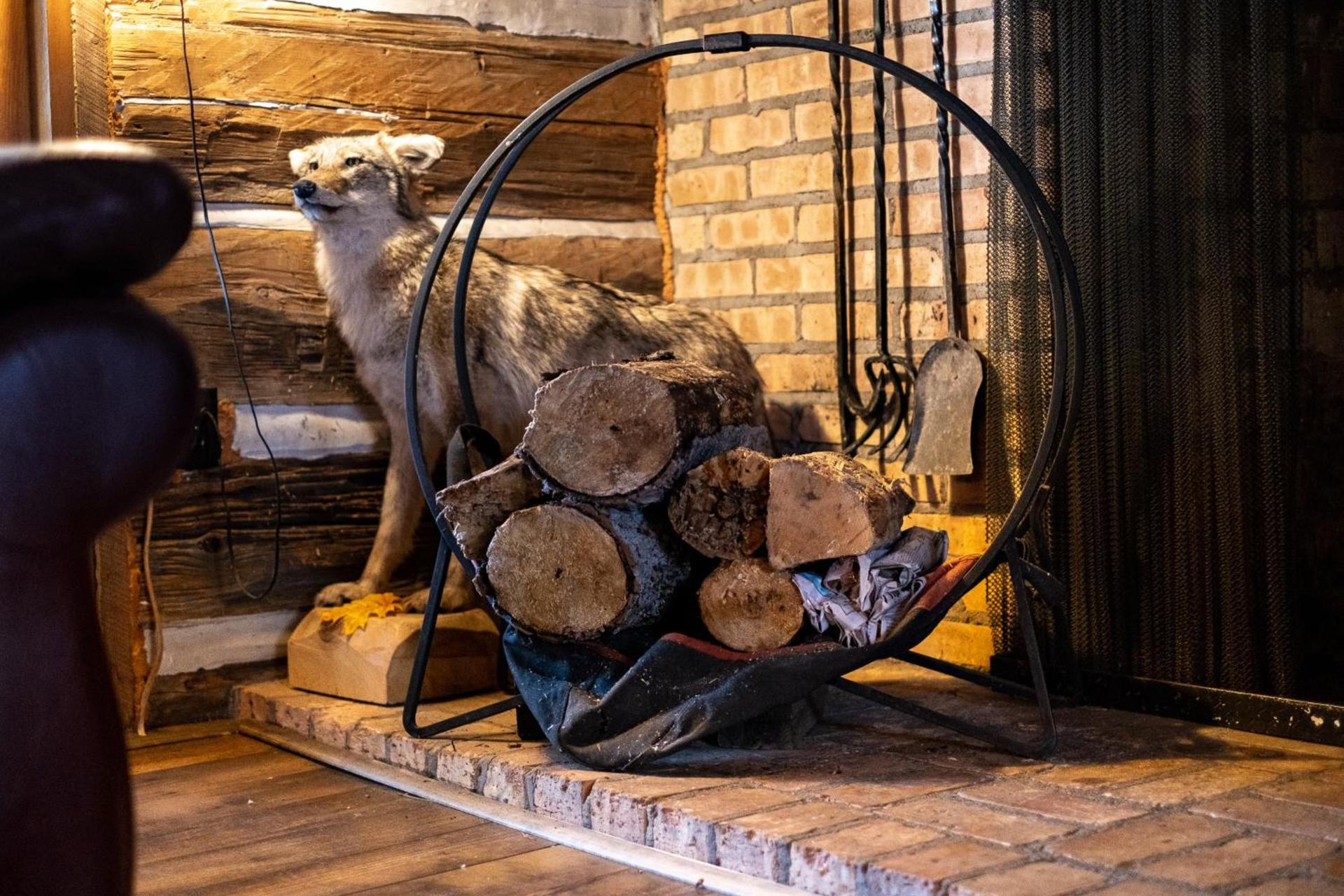 Royal Stag Ausable photo 10