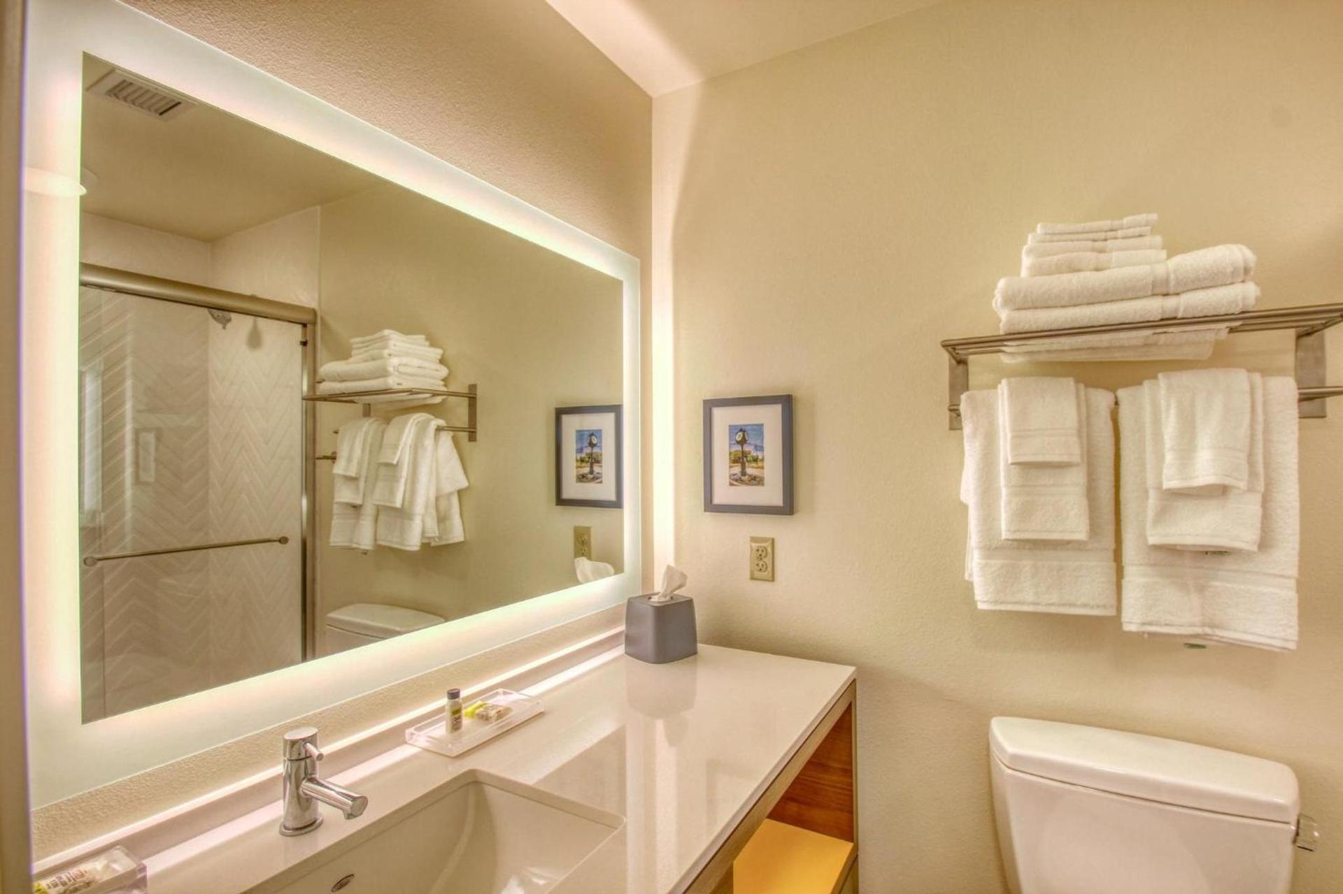 Holiday Inn - Appleton by IHG photo 48