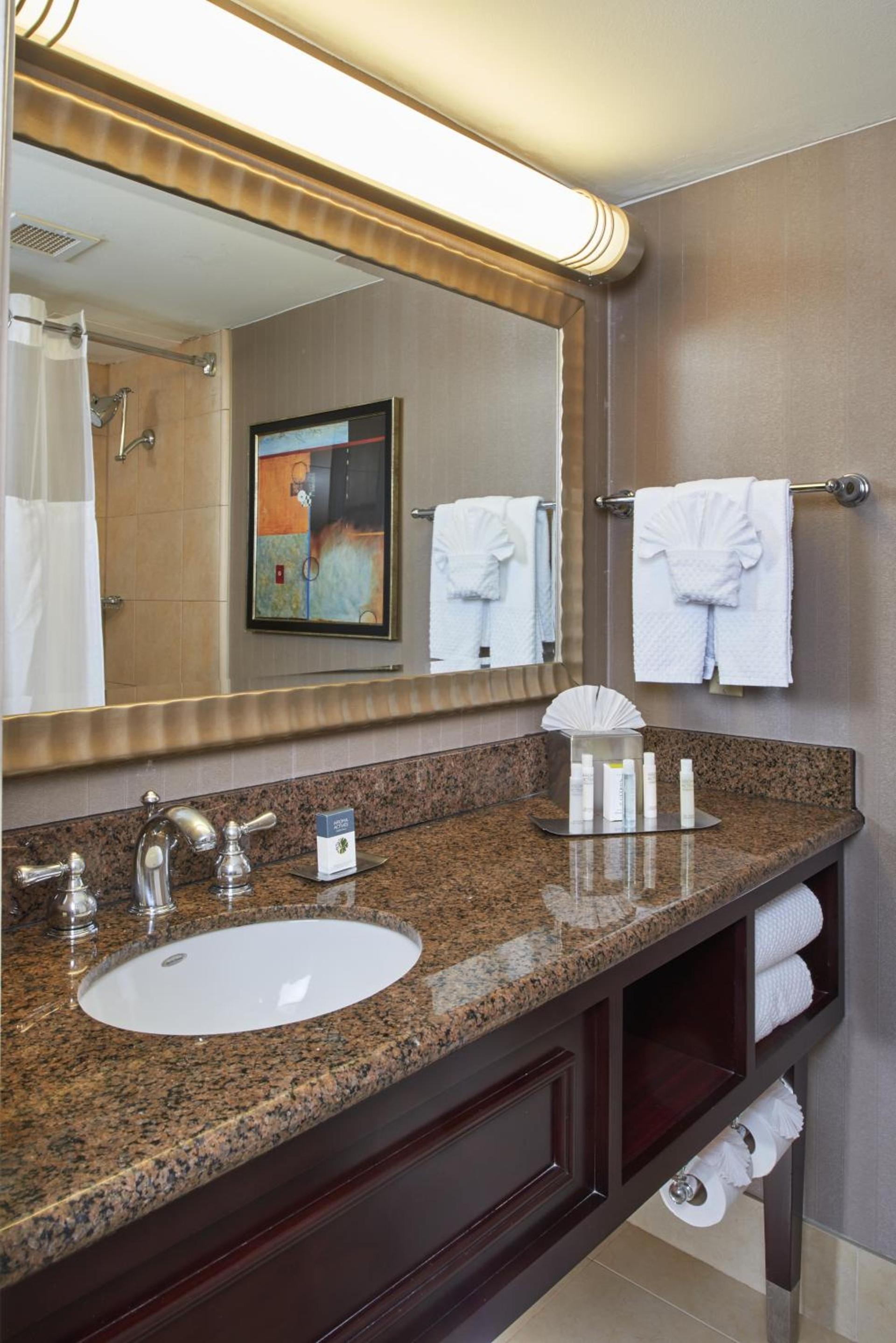 DoubleTree by Hilton Dallas Market Center photo 47
