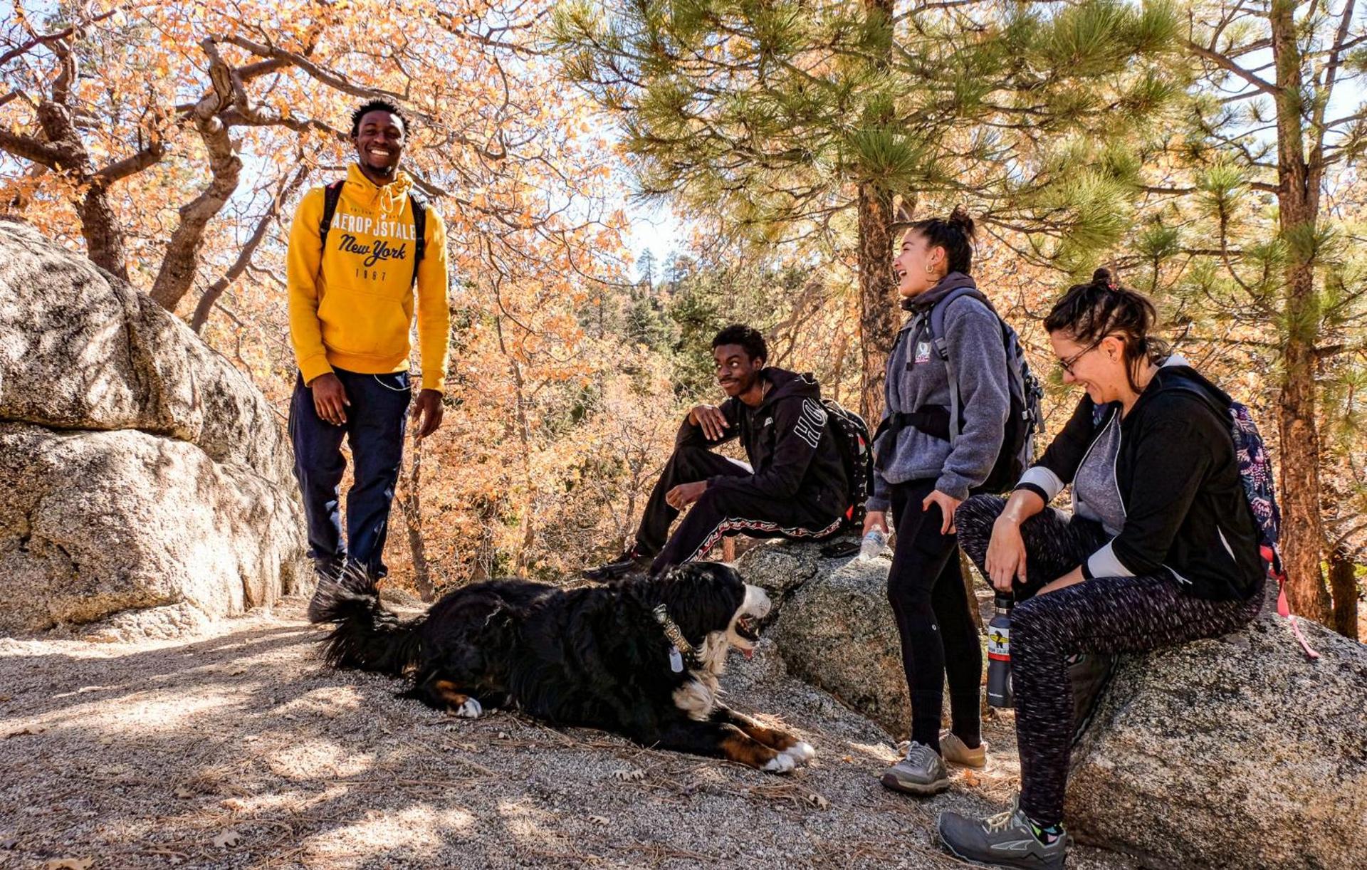 ITH Big Bear Lake Hostel & Lodge photo 74