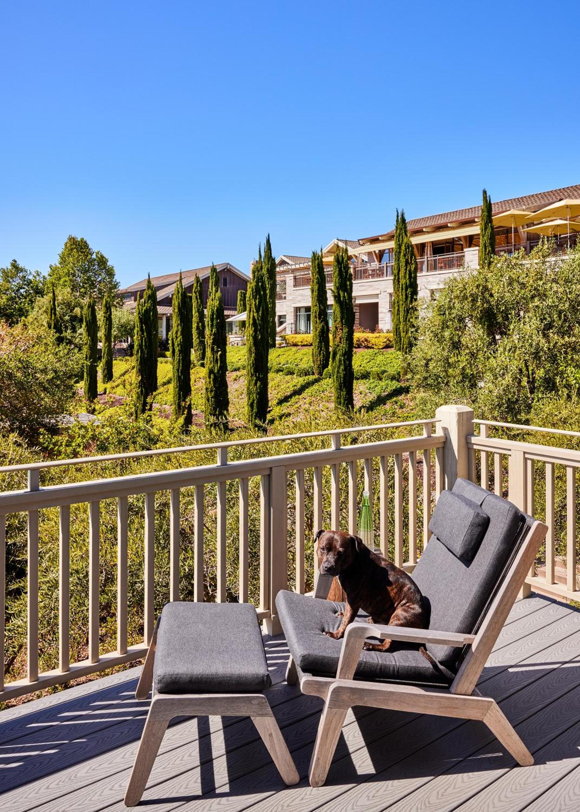Rosewood Sand Hill photo 42