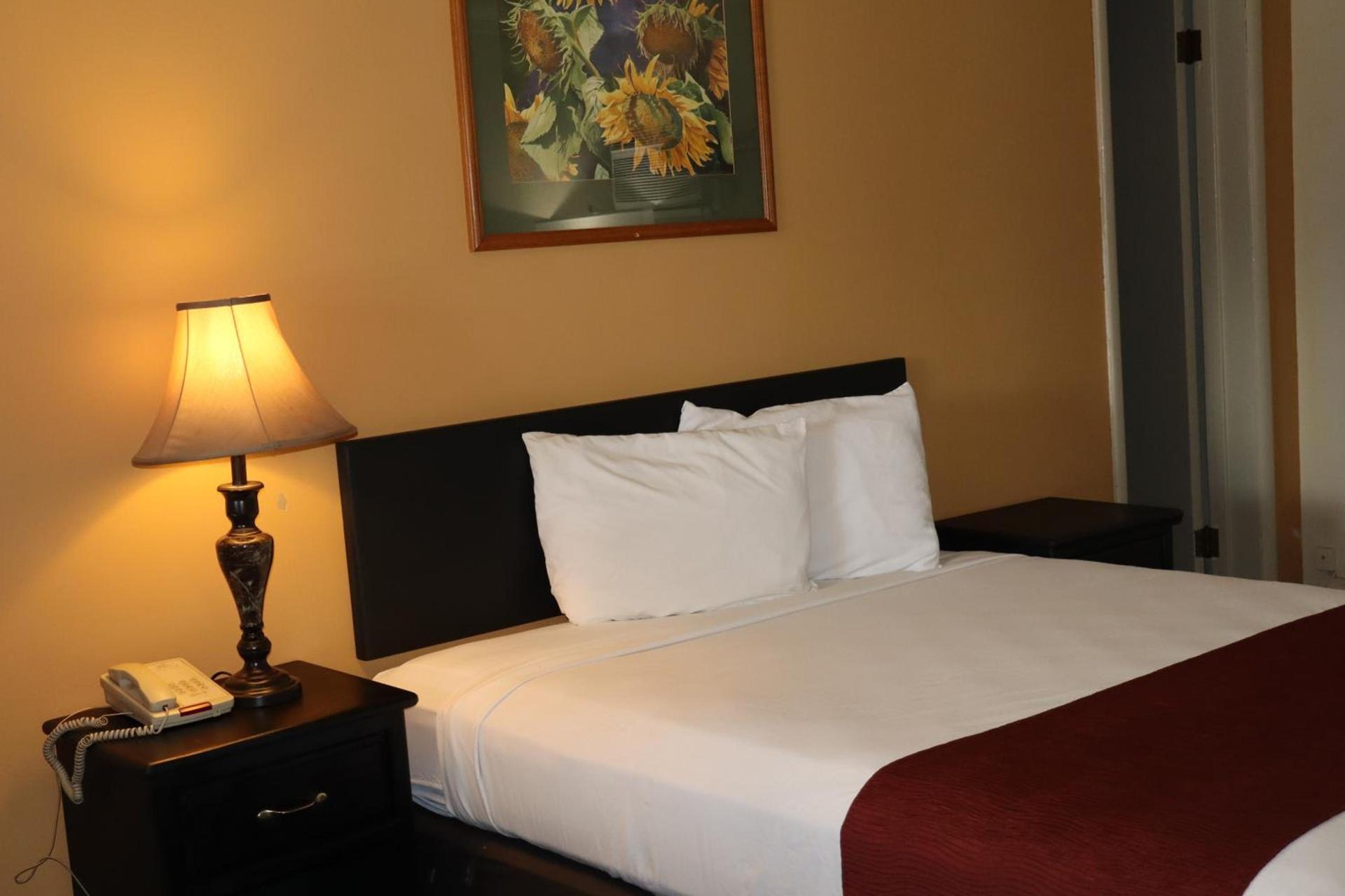Econo Lodge Inn & Suites Montrose - Black Canyon Area photo 45
