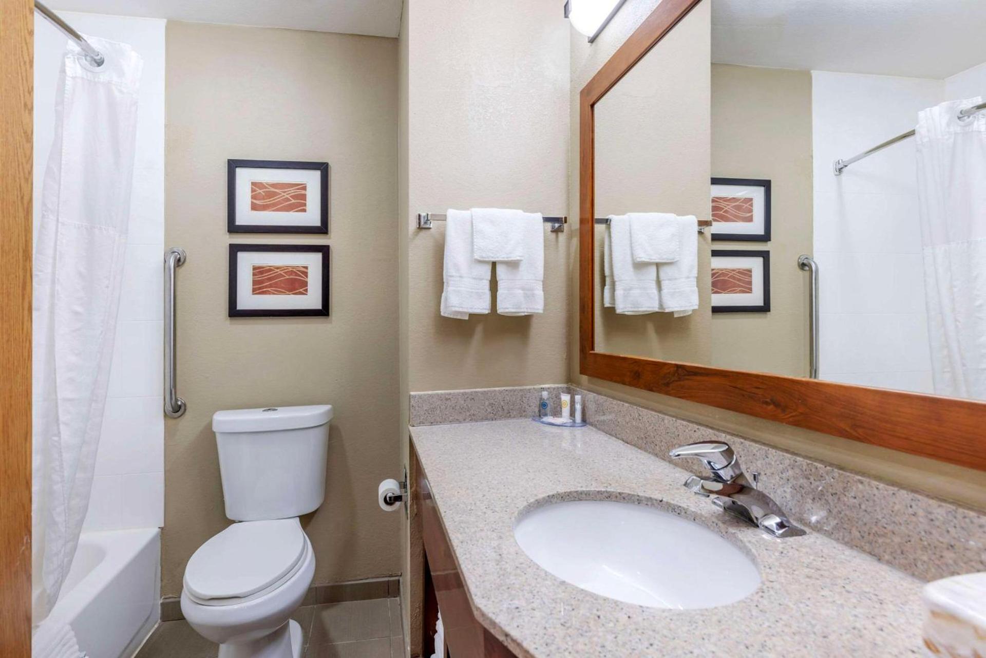 Comfort Inn Grain Valley - Kansas City photo 27