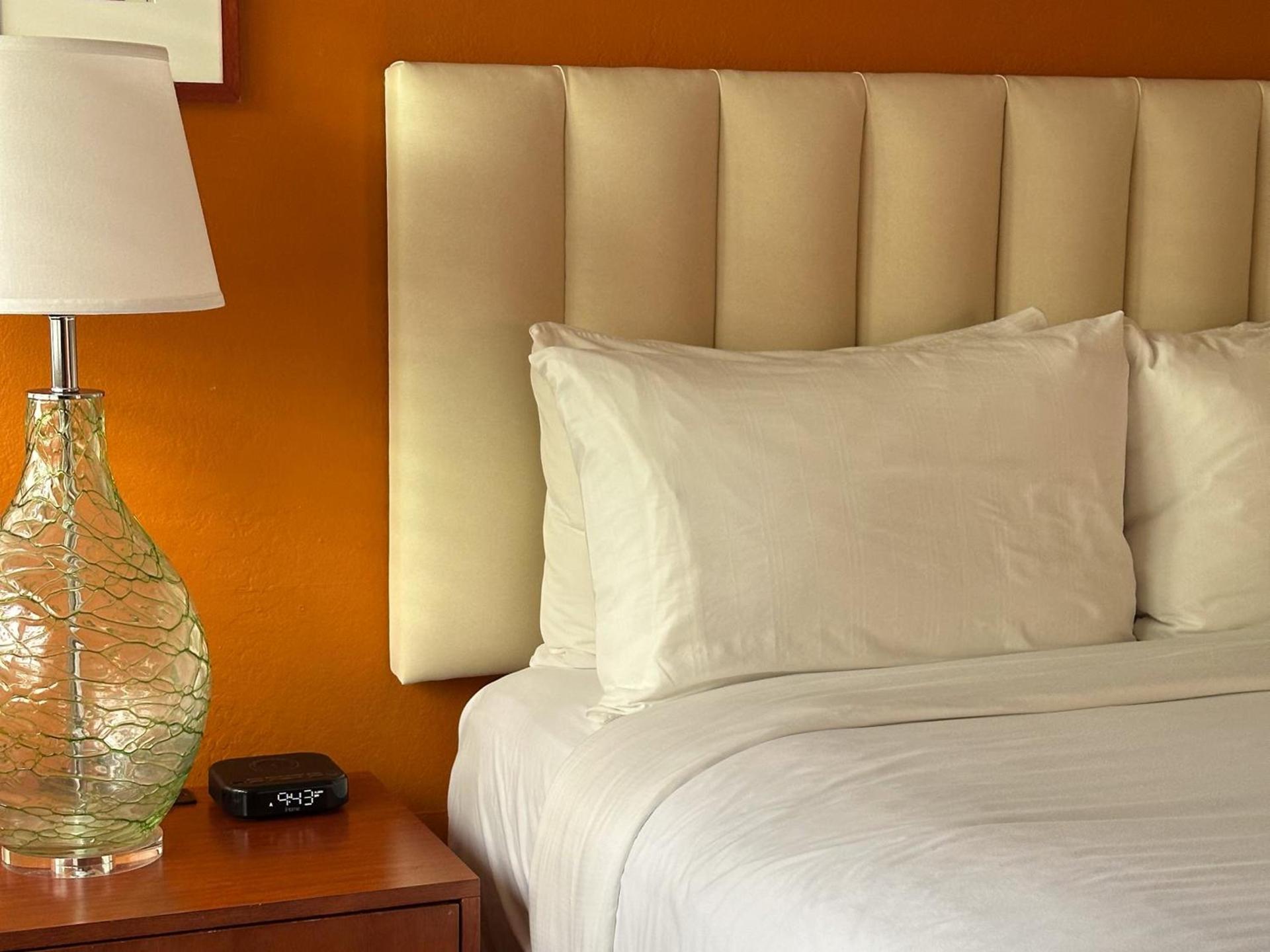 Hotel Del Sol photo 31