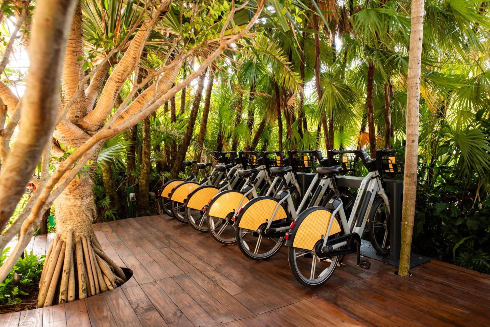 The Standard Spa, Miami Beach photo 27