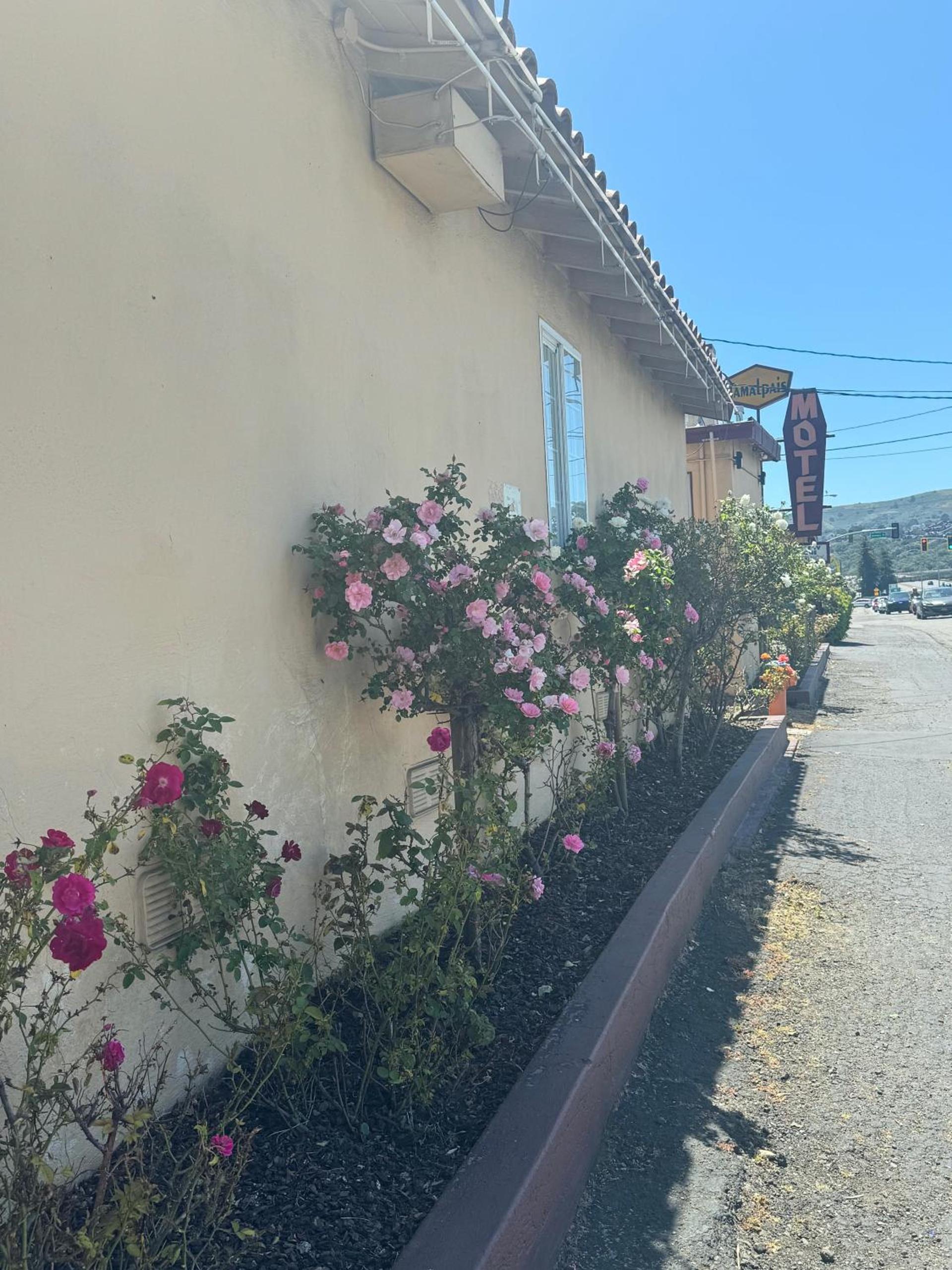 Tamalpais Motel photo 29