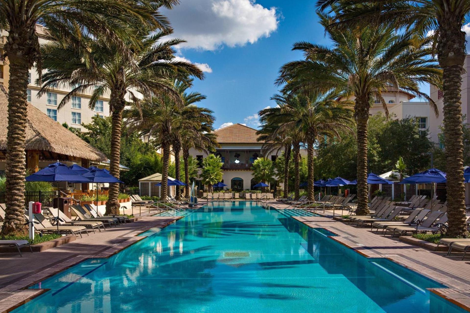 Gaylord Palms Resort & Convention Center photo 3