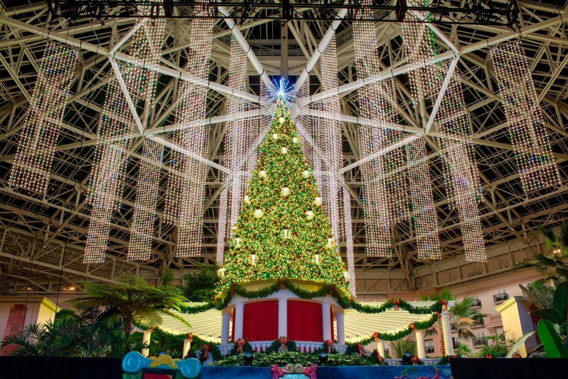 Gaylord Palms Resort & Convention Center photo 84