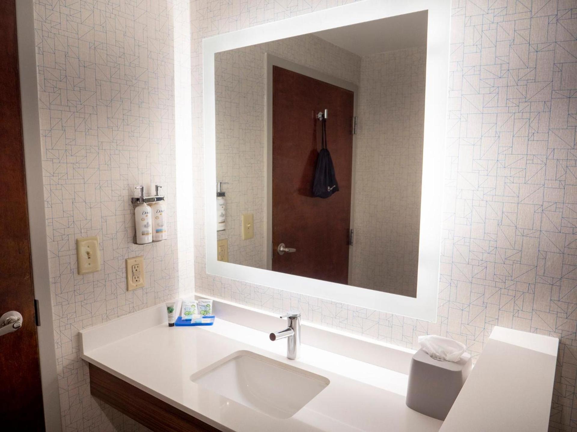 Holiday Inn Express & Suites Greenville Airport i85 by IHG photo 91