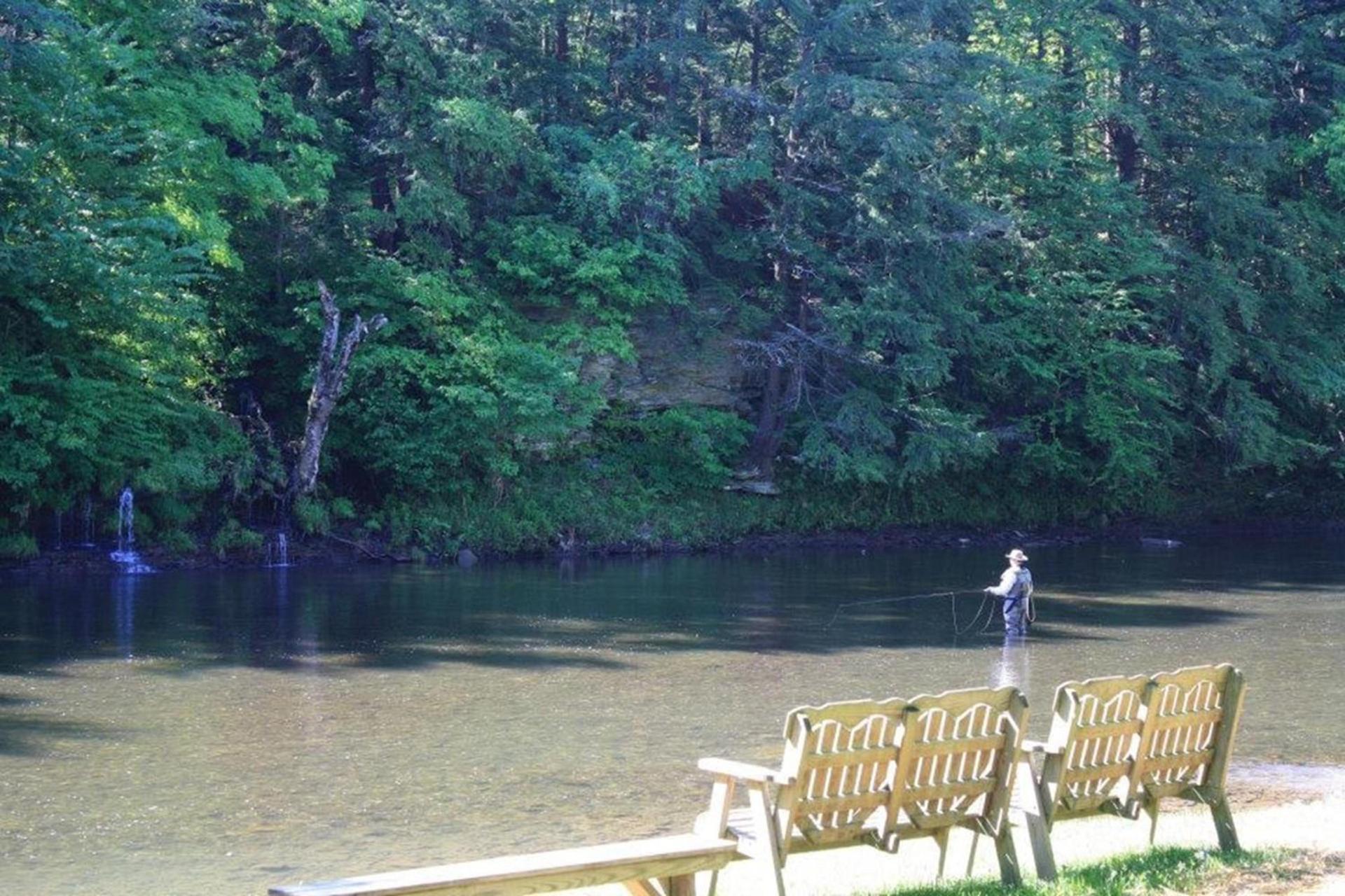 Rough Cut Lodge photo 48
