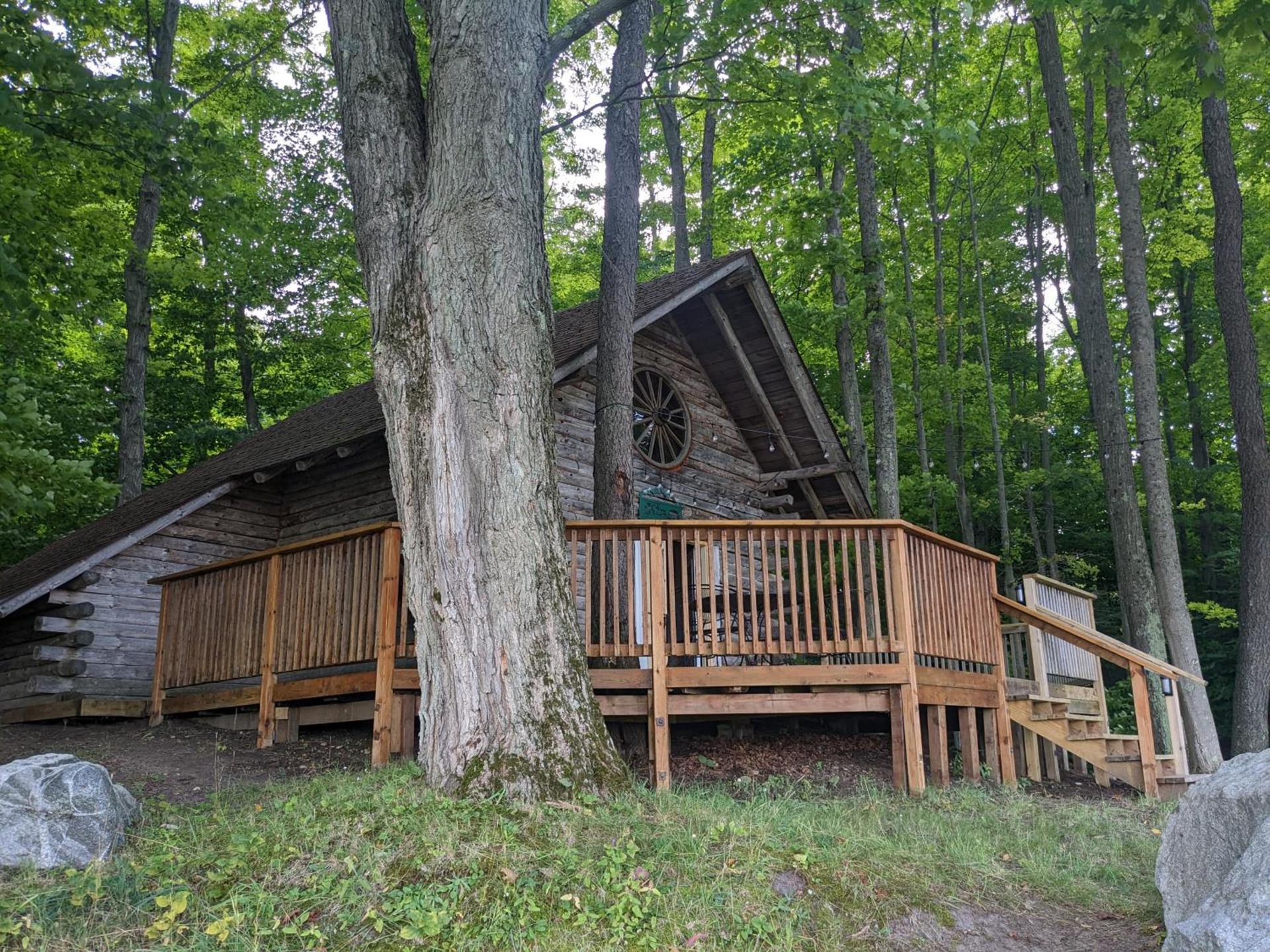 Bear Woods Resort photo 55