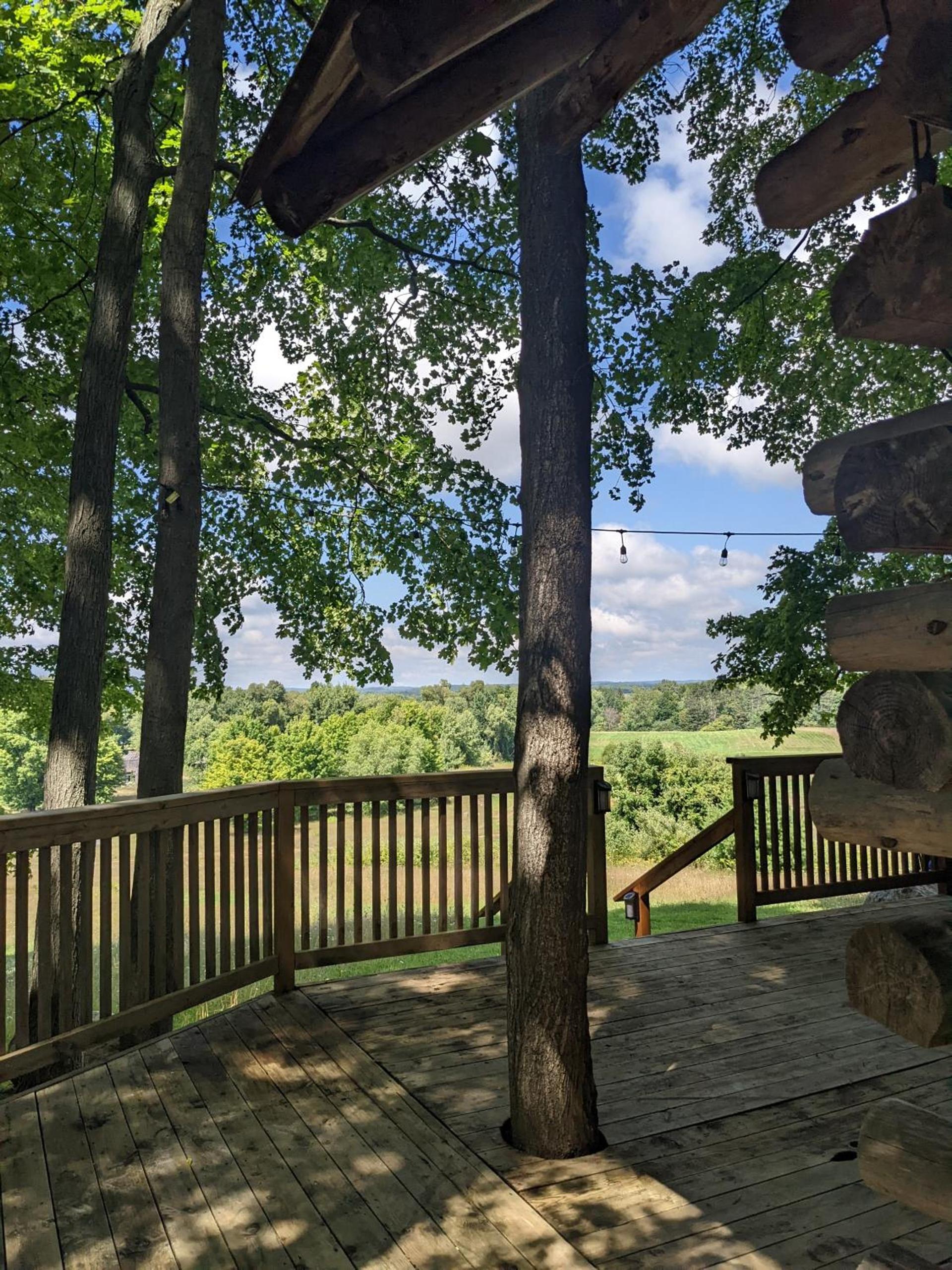 Bear Woods Resort photo 56
