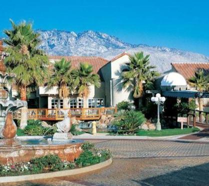 The Oasis Resort photo 34