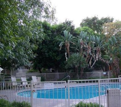 The Oasis Resort photo 43