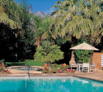The Oasis Resort photo 41