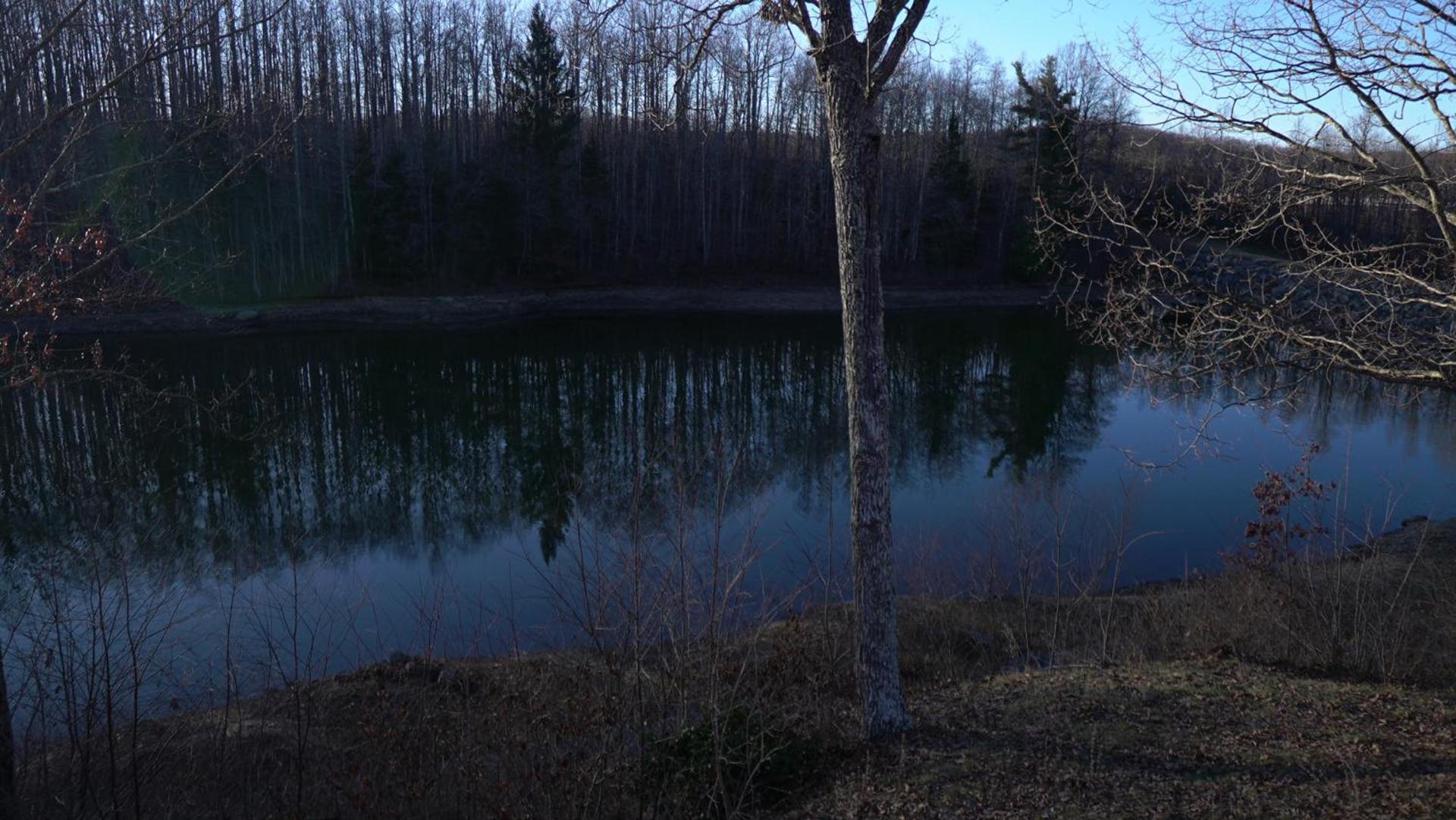 Skyline Lodge photo 5