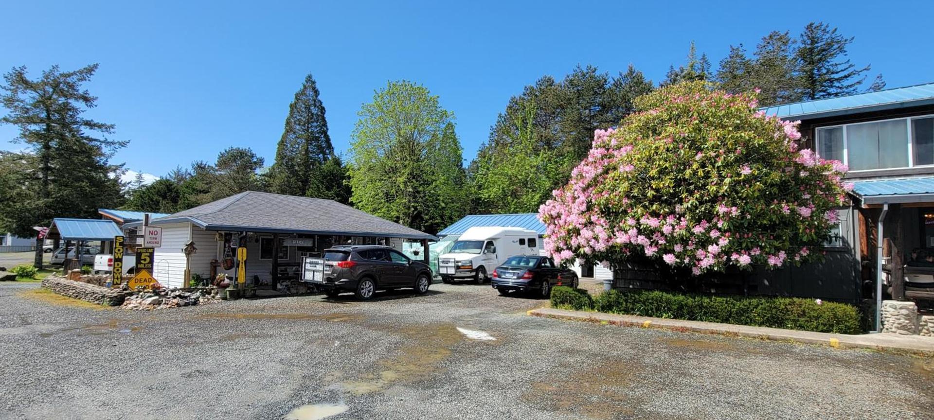 The Bunkhouse Motel photo 5