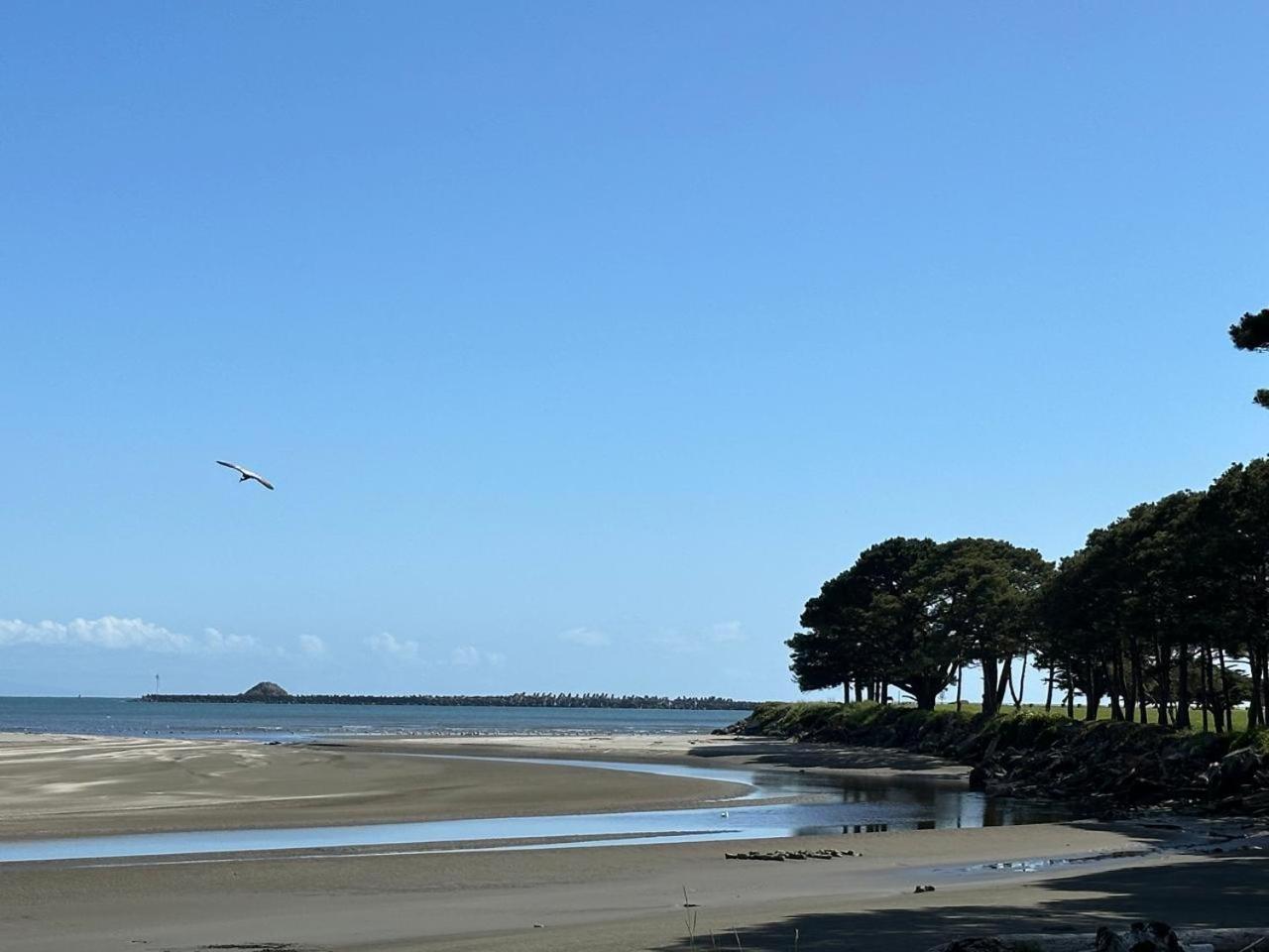 Beachside Inn photo 9