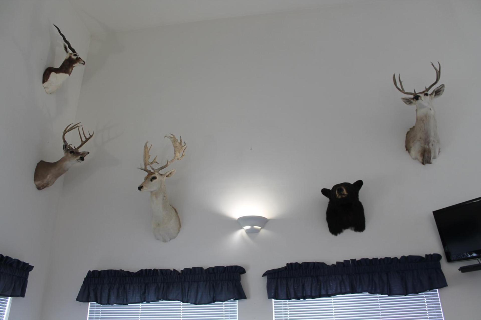 American Host Inn photo 6