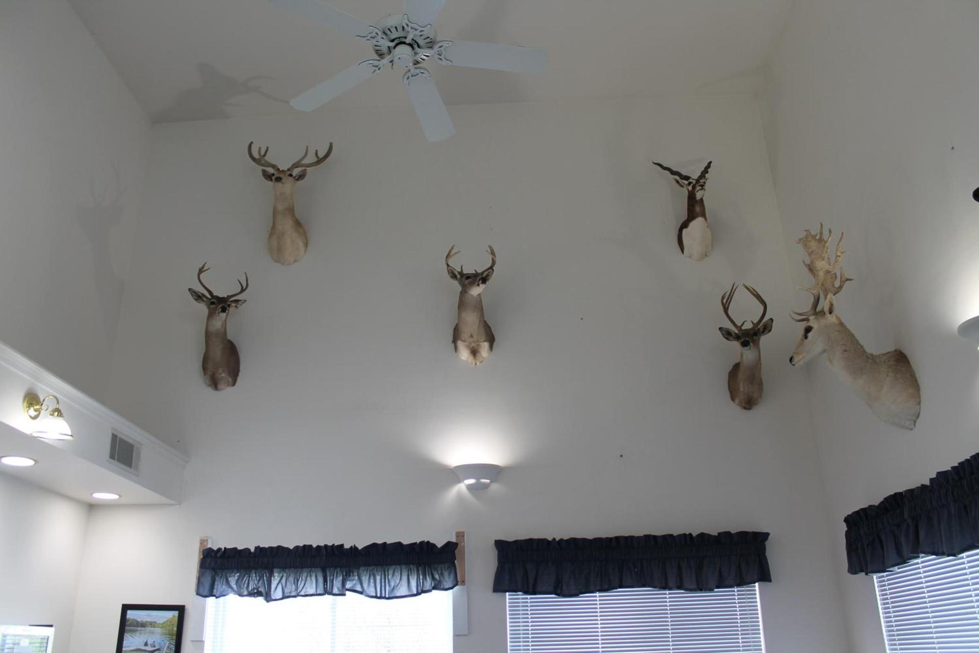 American Host Inn photo 5