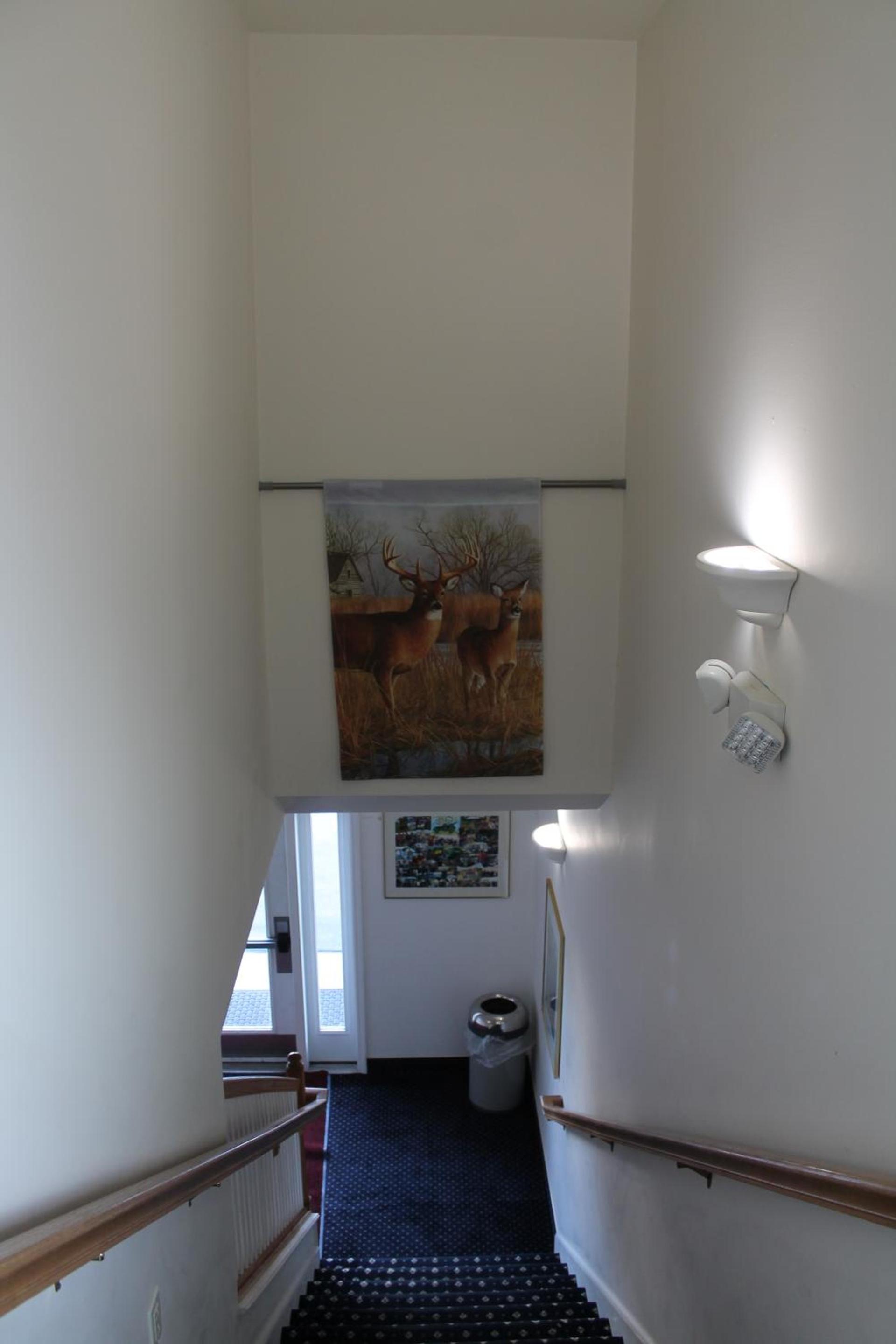 American Host Inn photo 37